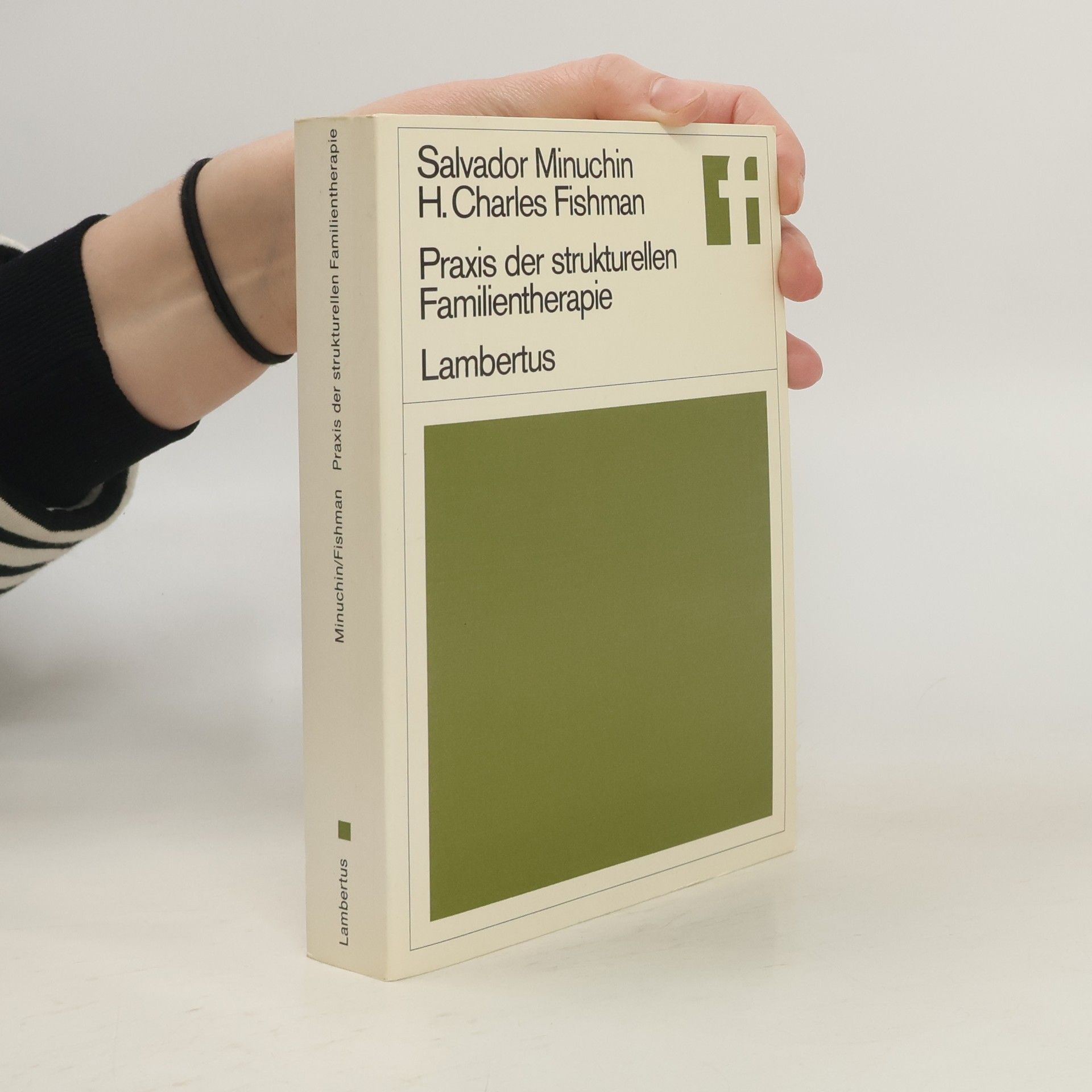 Praxis der strukturellen Familientherapie. Strategien und Techniken