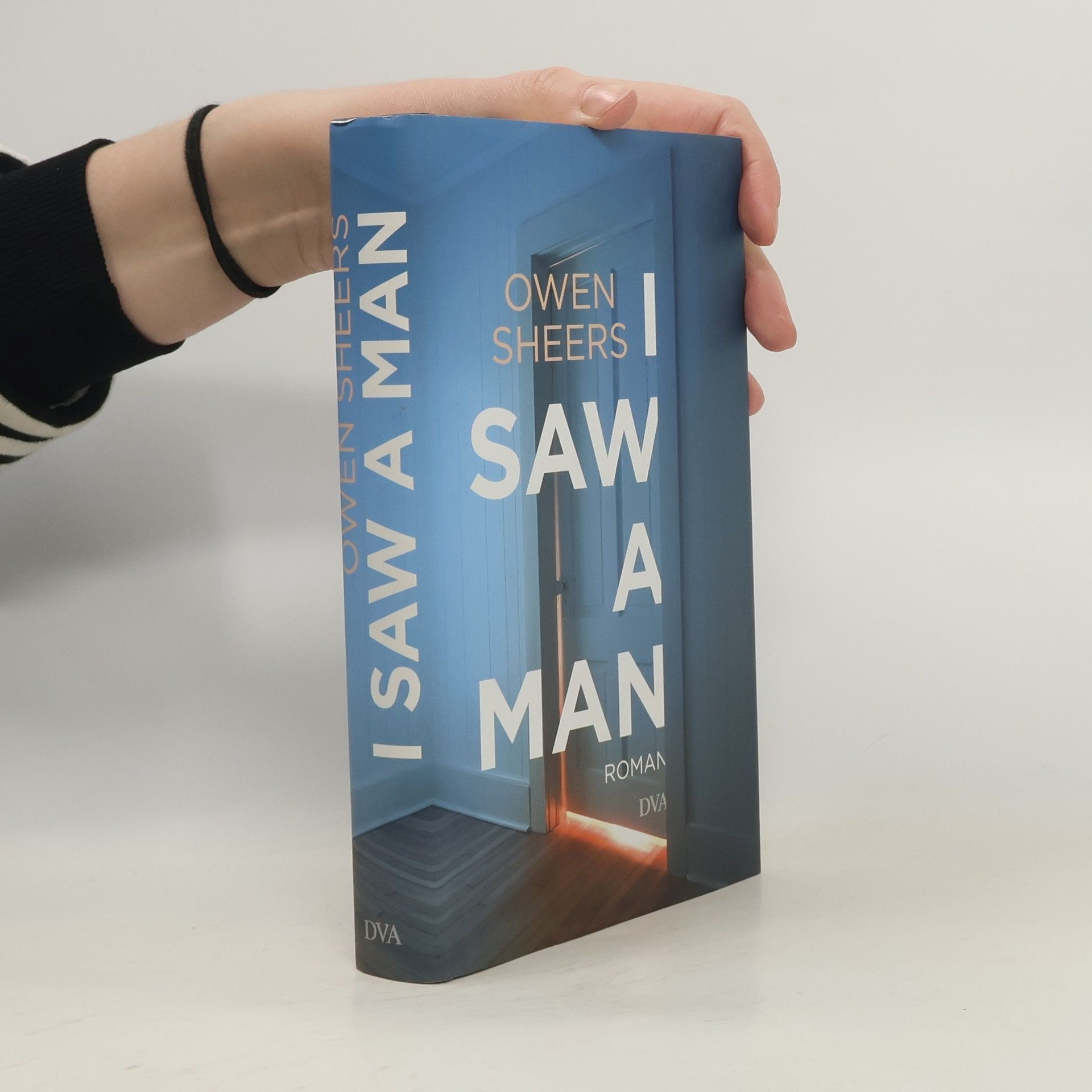 Owen Sheers I Saw a Man