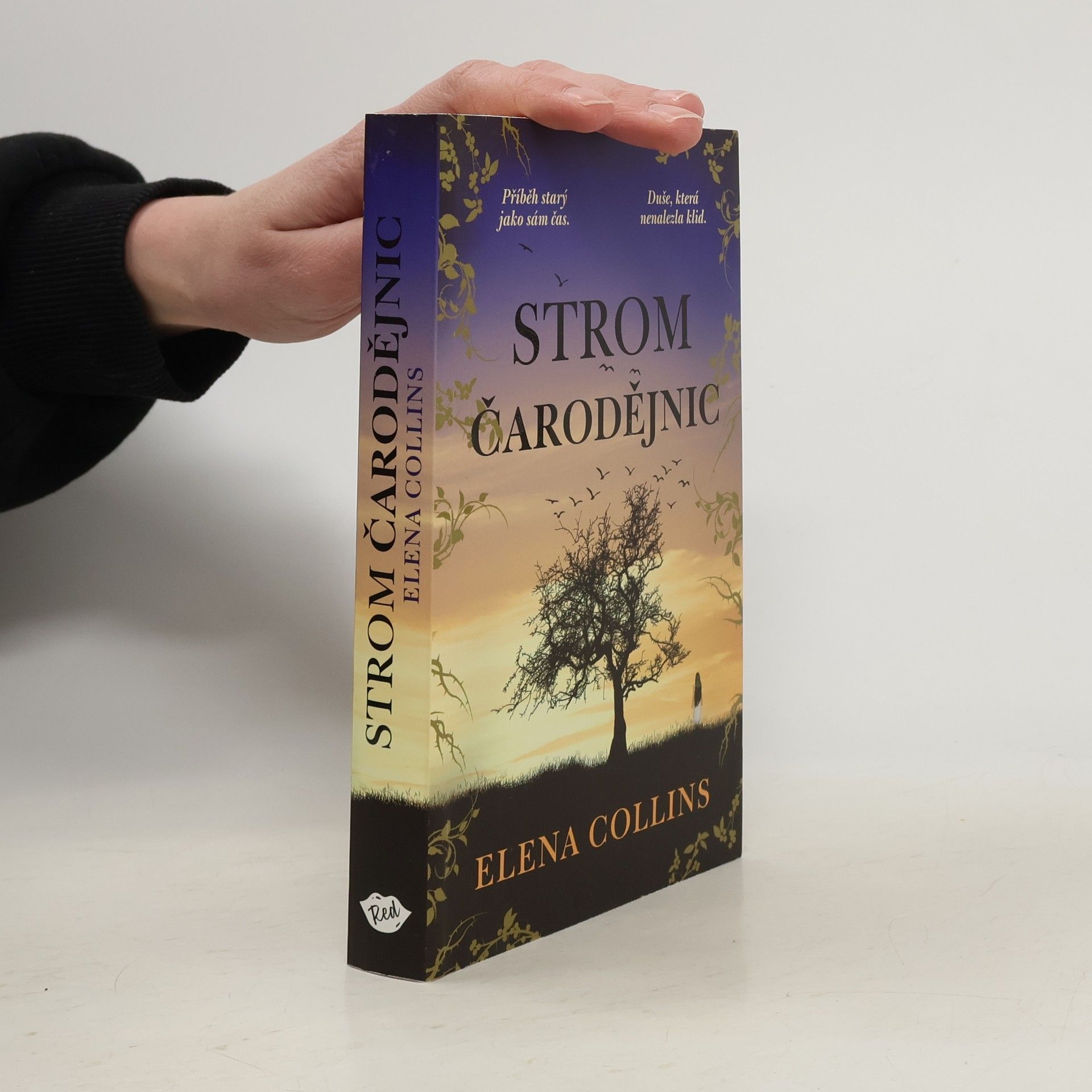 Jana Buchalová Strom čarodějnic