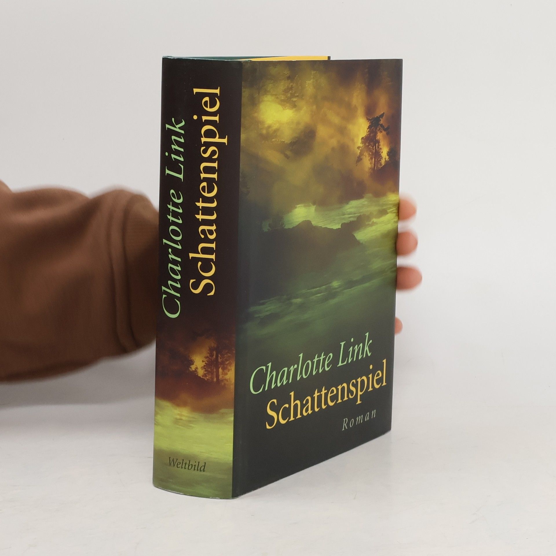 Charlotte Link Schattenspiel