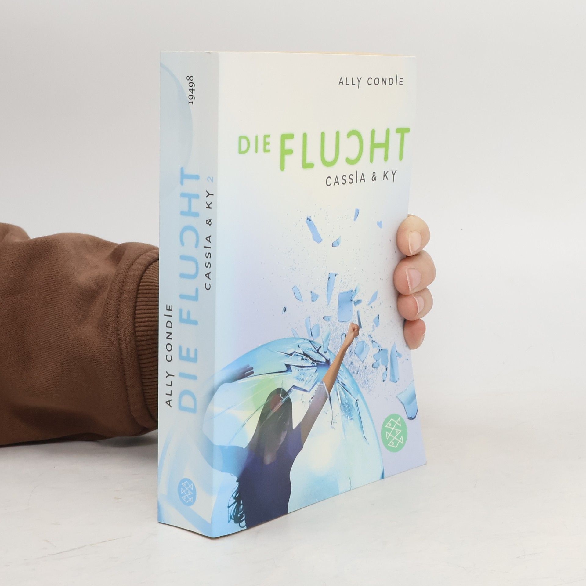 Allyson Braithwaite Condie Die Flucht