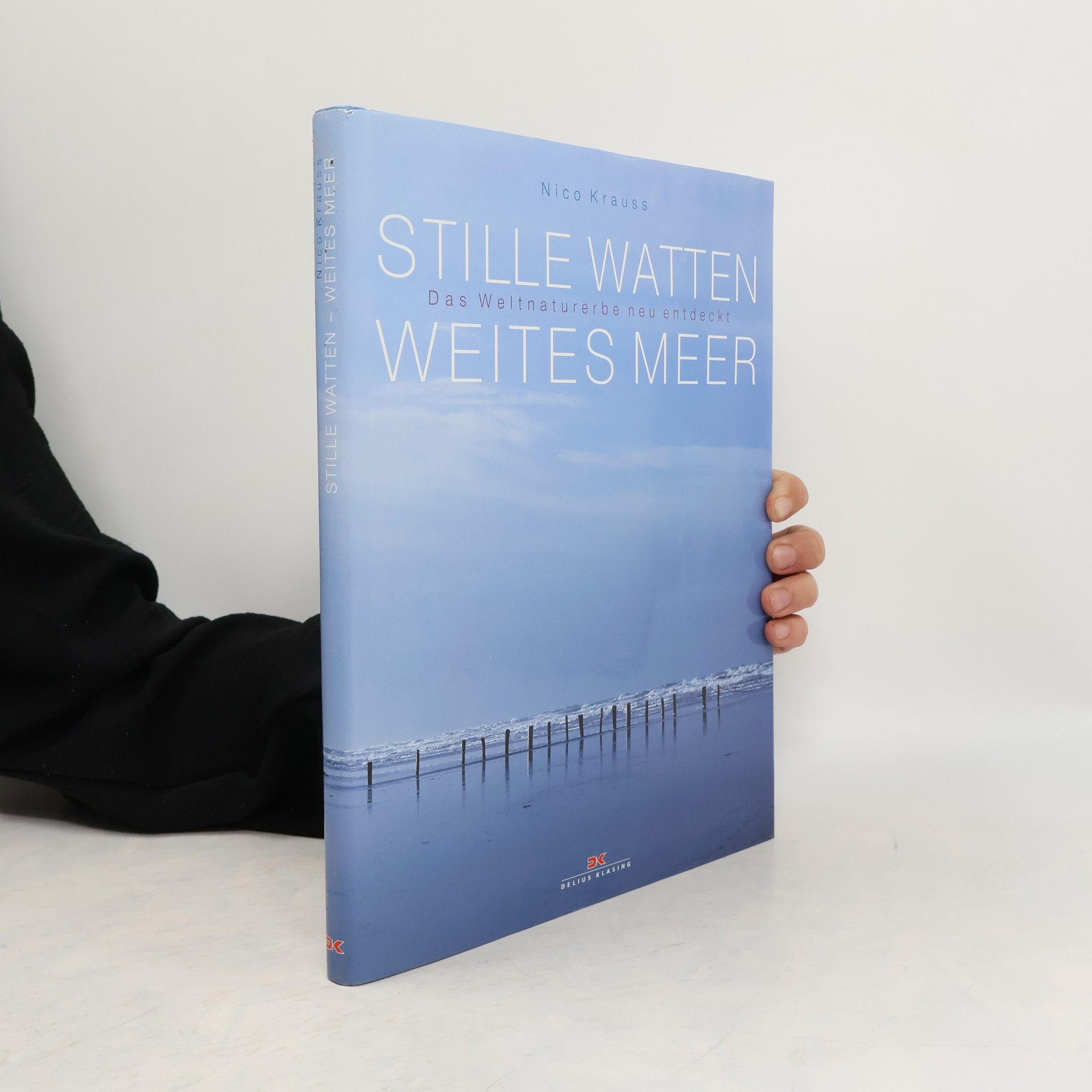 Nico Krauss Stille Watten, weites Meer