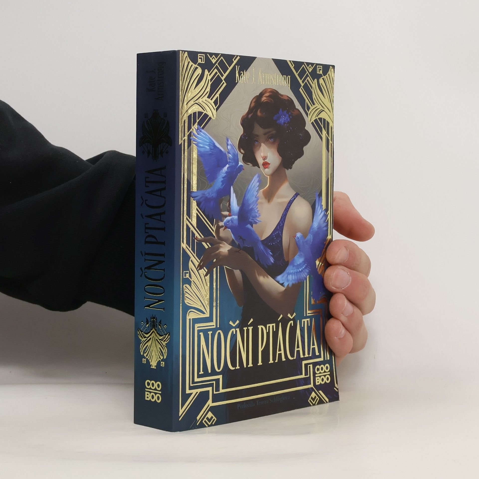 Tereza Schlöglová Noční ptáčata