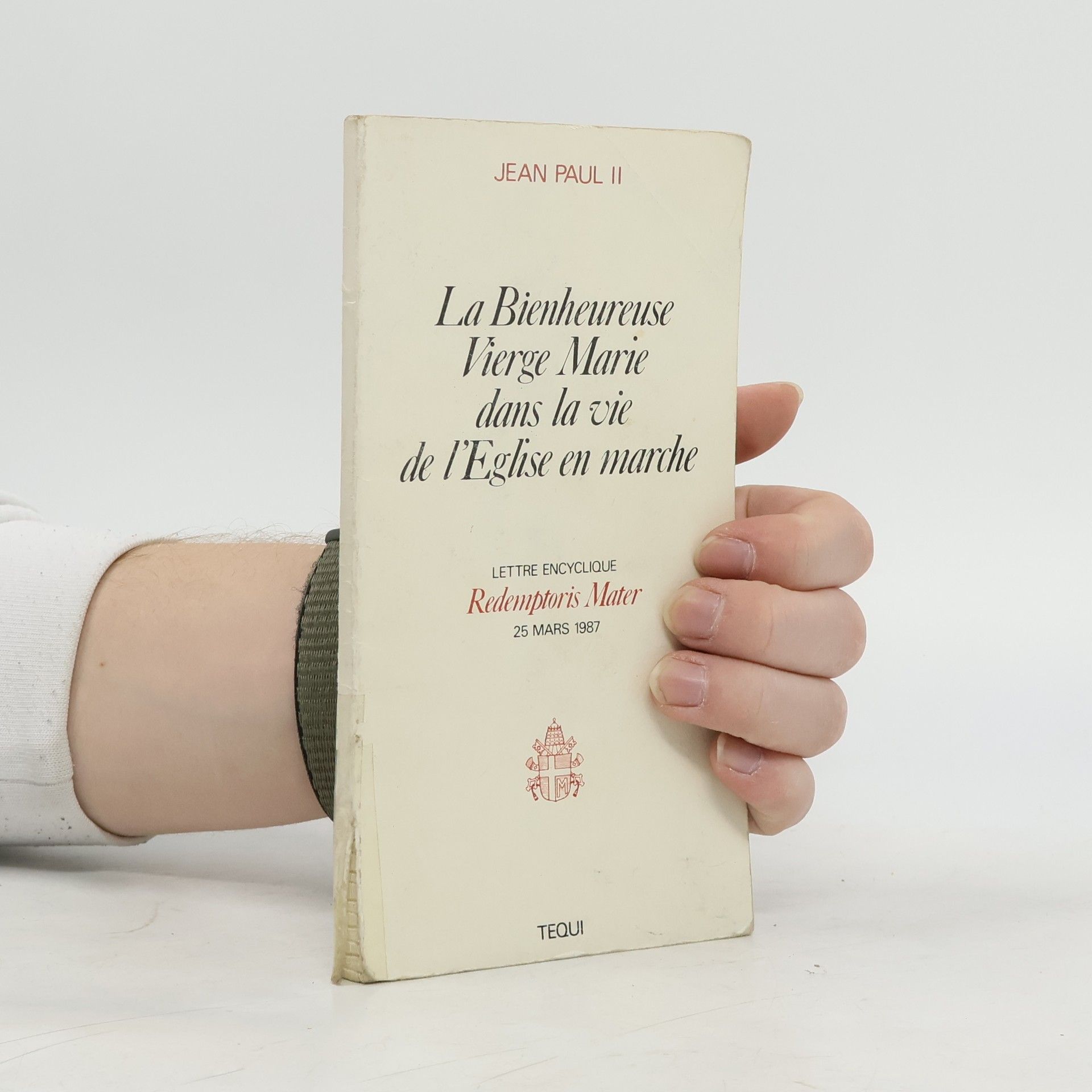 La Bienheureuse Vierge Marie dans la vie de l'Église en marche