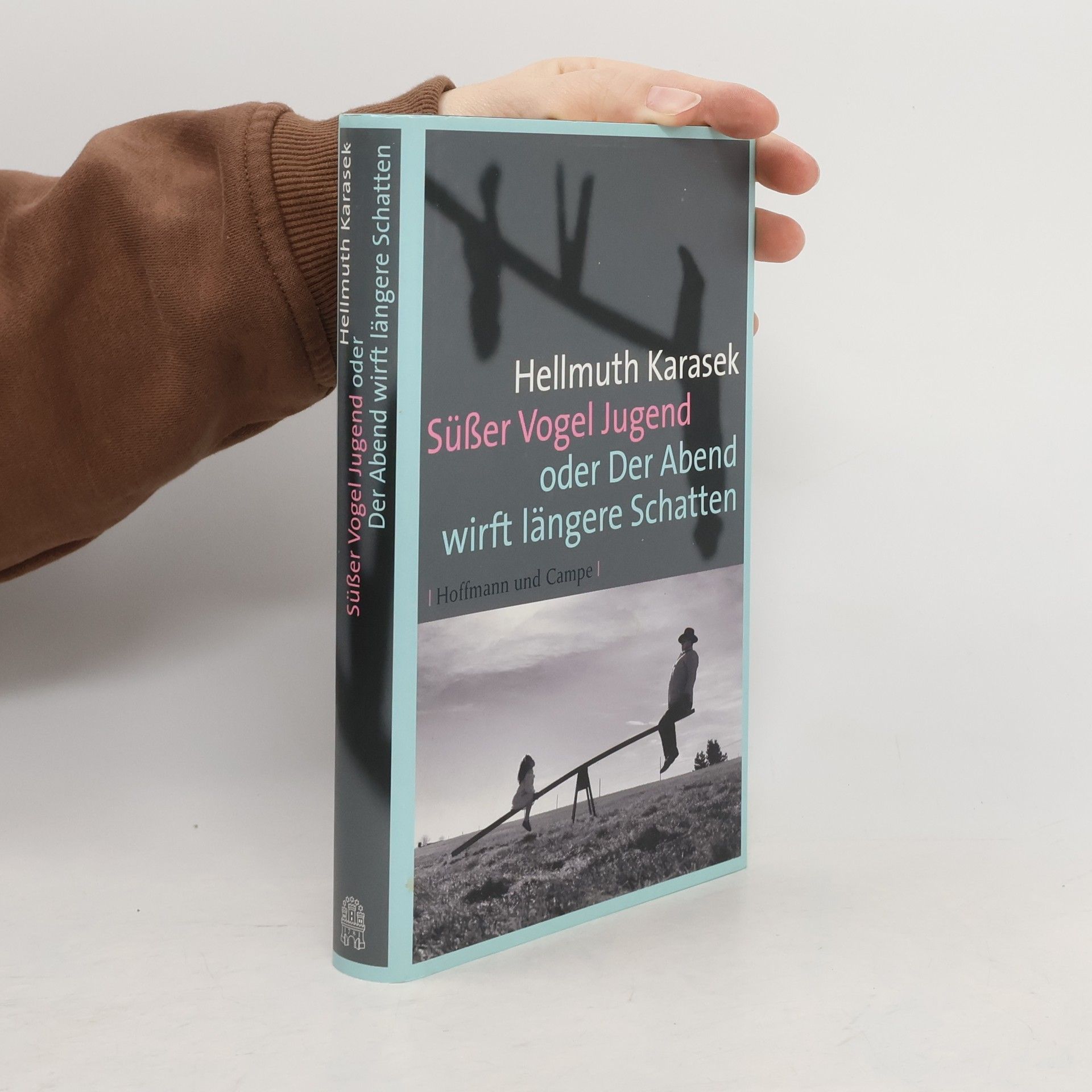 Hellmuth Karasek Süßer Vogel Jugend oder Der Abend wirft längere Schatten