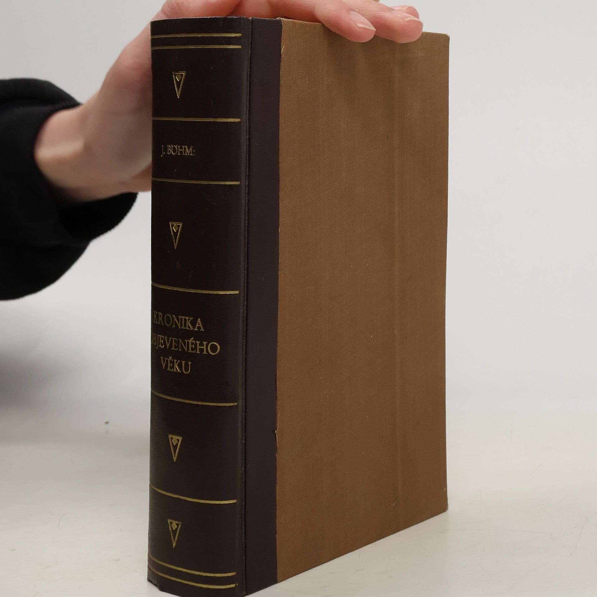 Kronika objeveného věku