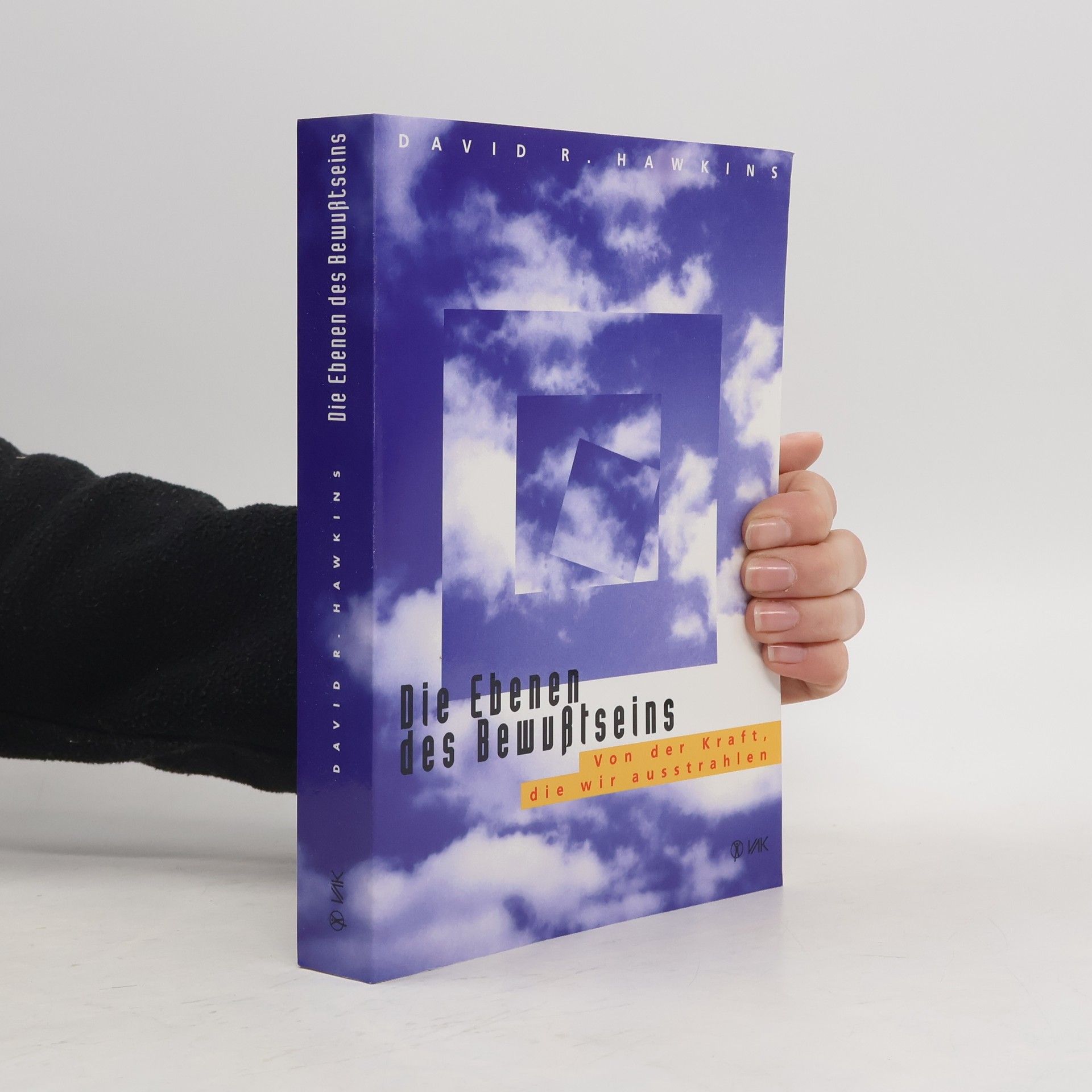 David R. Hawkins Die Ebenen des Bewußtseins