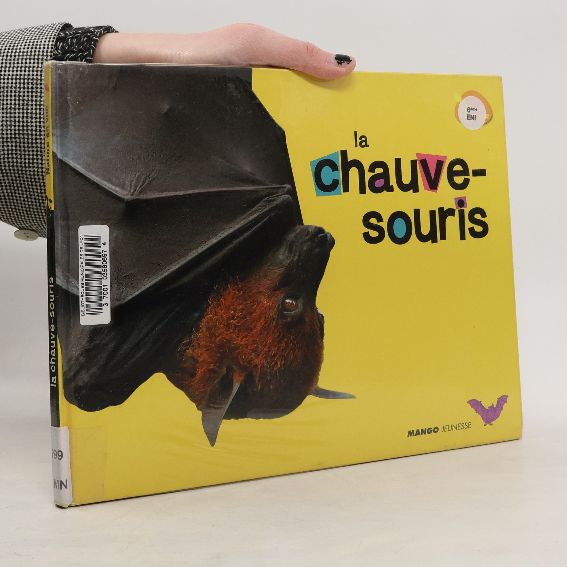 Ji-yeon Lim La chauve-souris