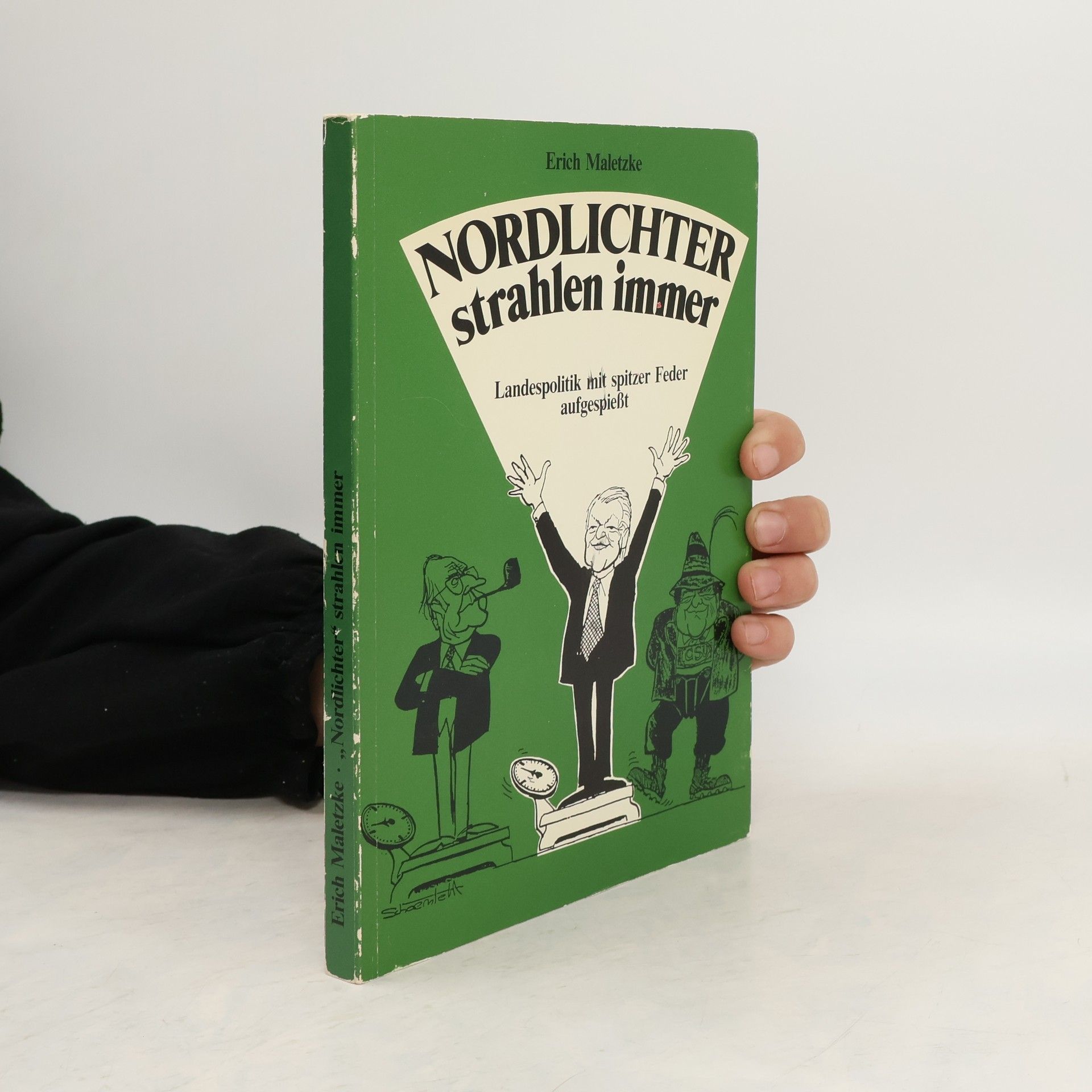 Erich Maletzke Nordlichter strahlen immer