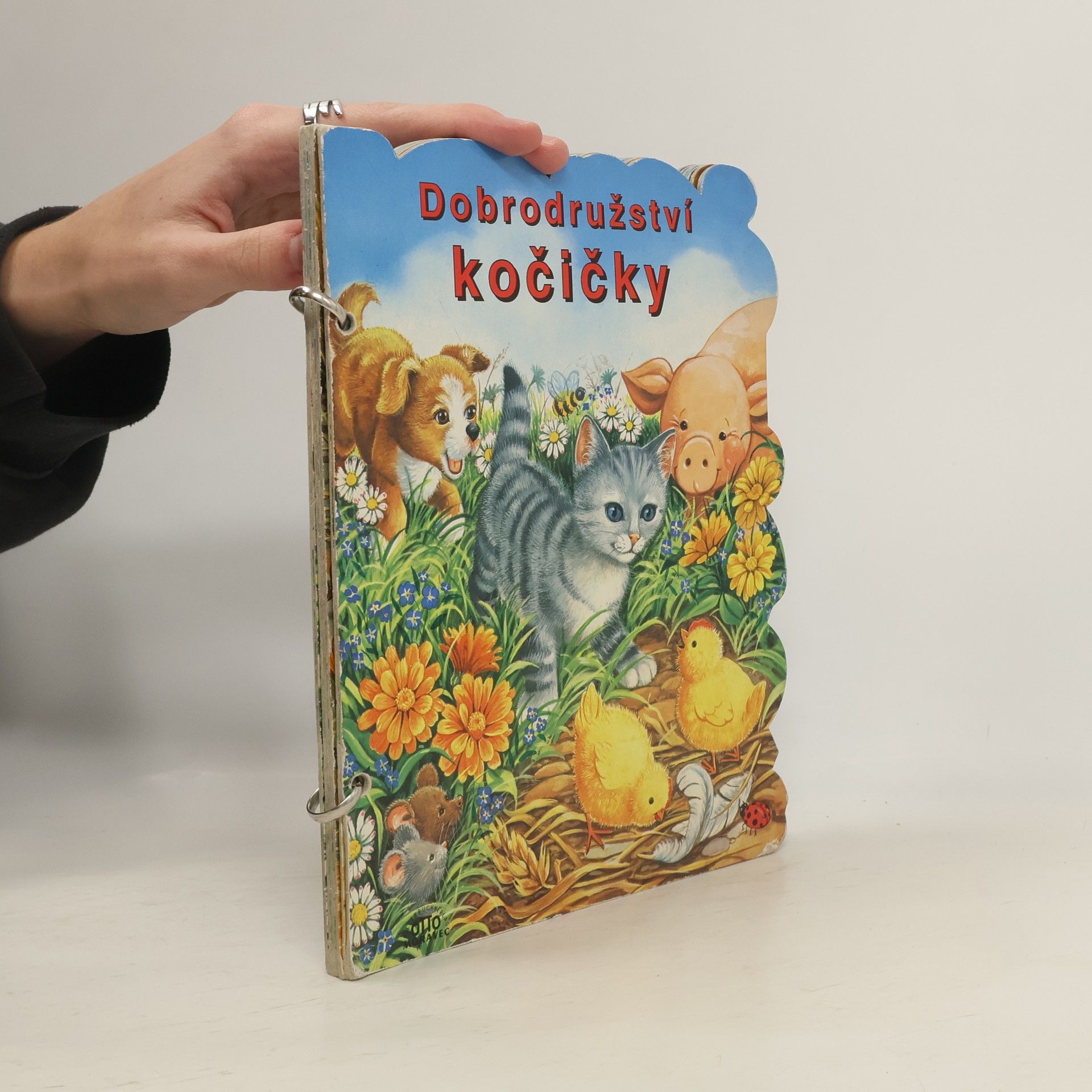 Dobrodružství kočičky