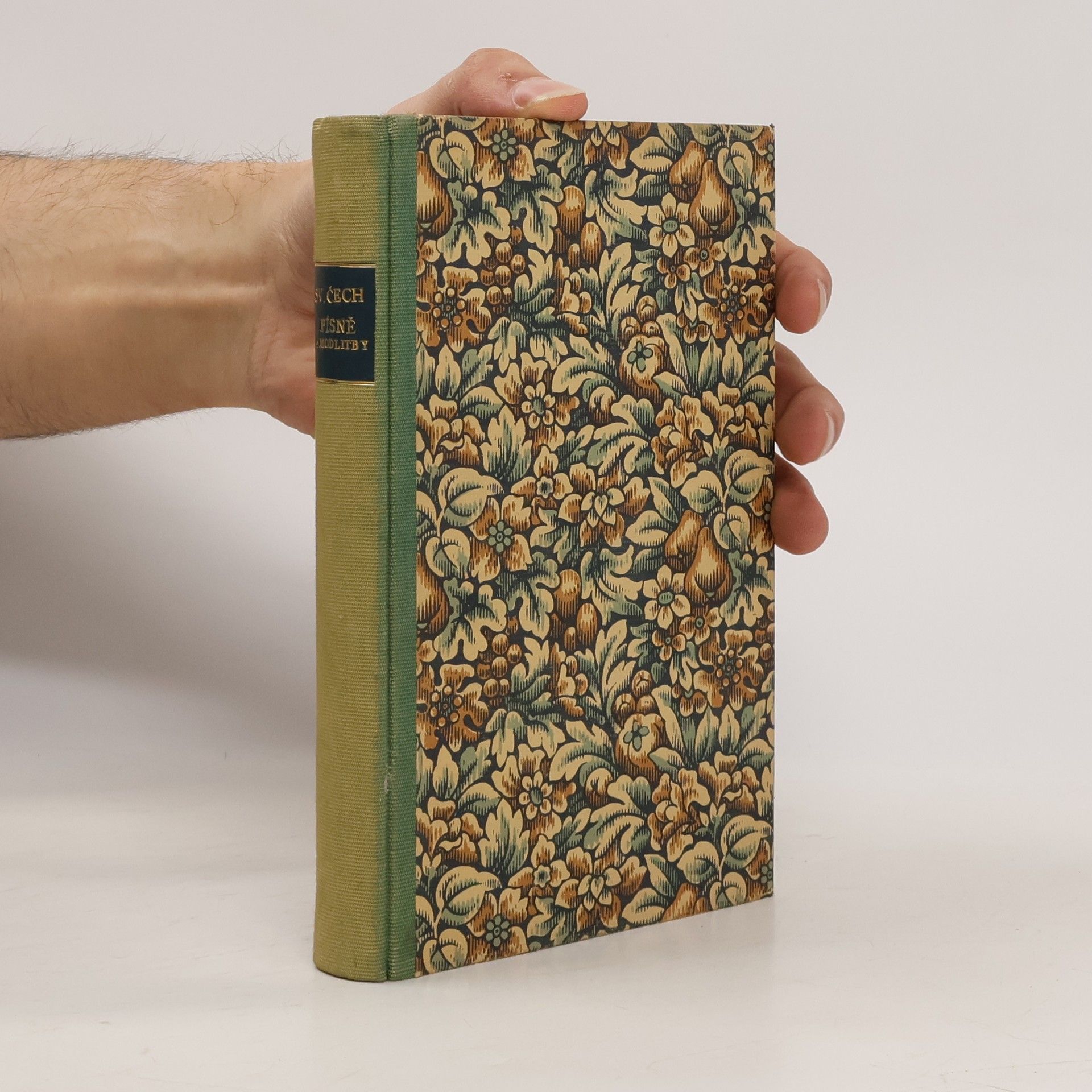 Svatopluk Čech Písně a modlitby X.