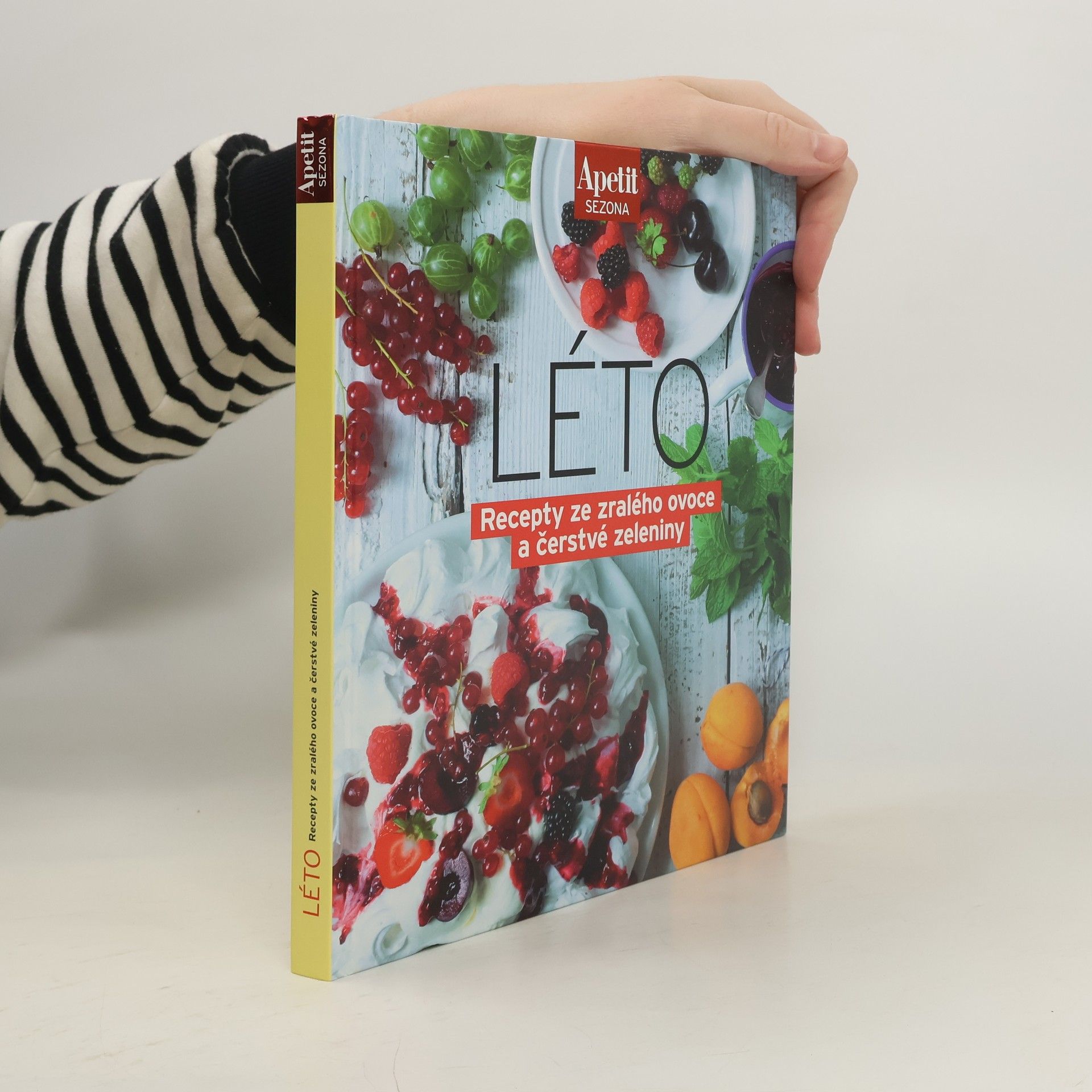 Kolektív autorov Léto: Recepty ze zralého ovoce a čerstvé zeleniny