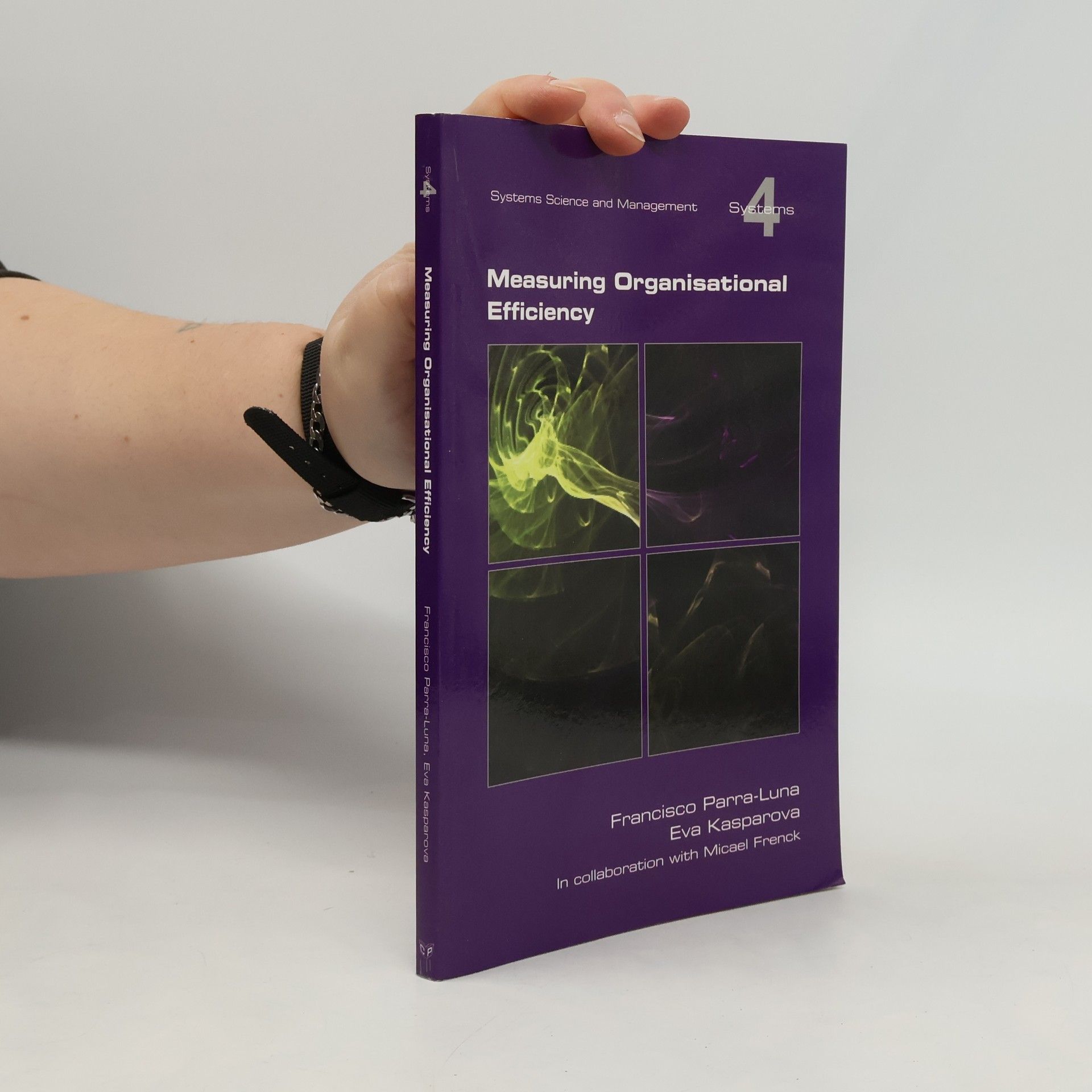 Eva Kašparová Measuring Organisational Efficiency