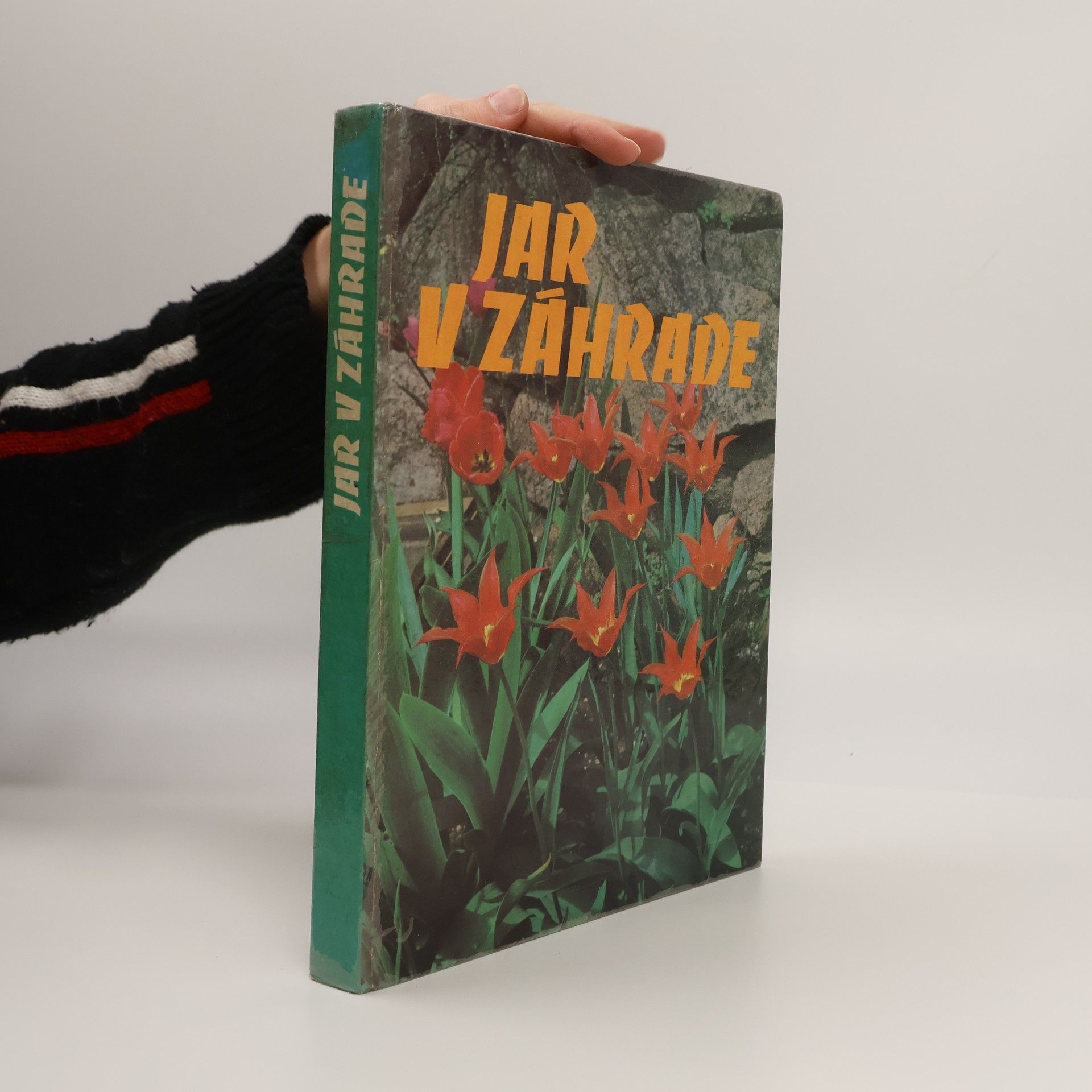 Autores varios Jar v záhrade