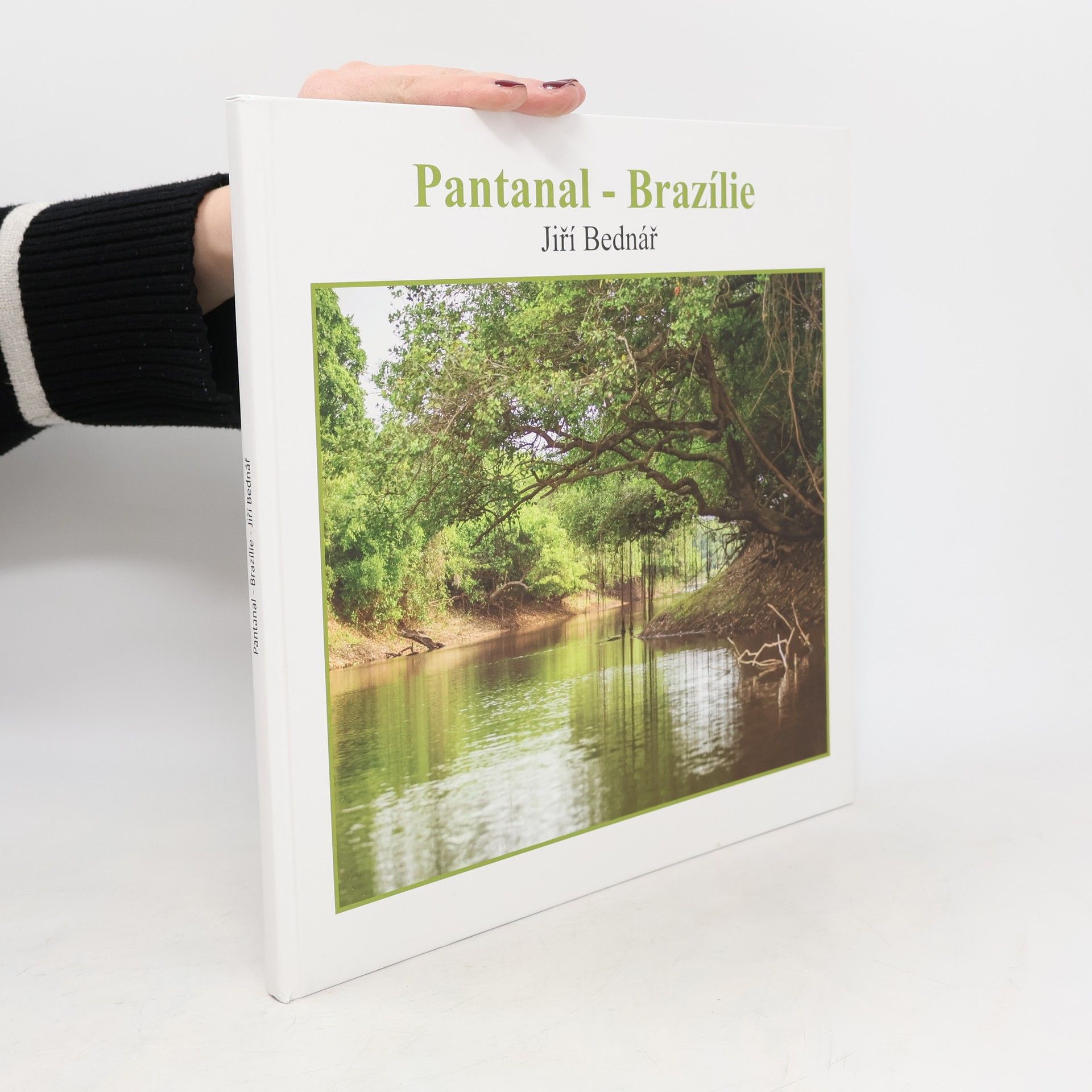Pantanal - Brazílie