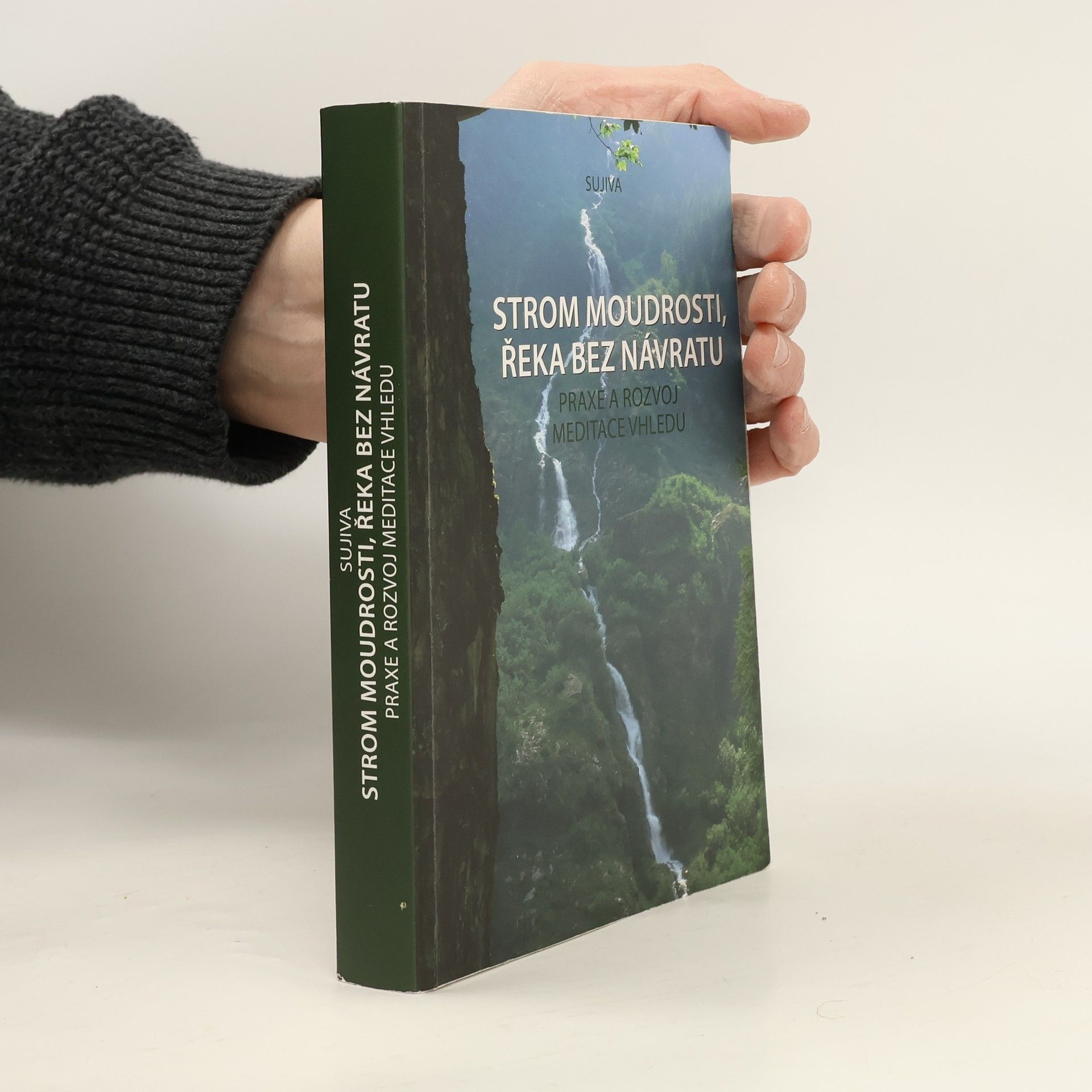 Collectif d'auteurs Strom moudrosti, řeka bez návratu