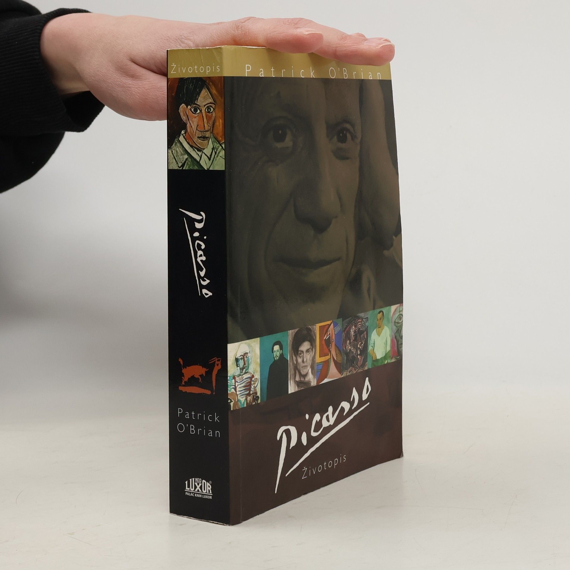 Patrick O'Brian Picasso. Životopis