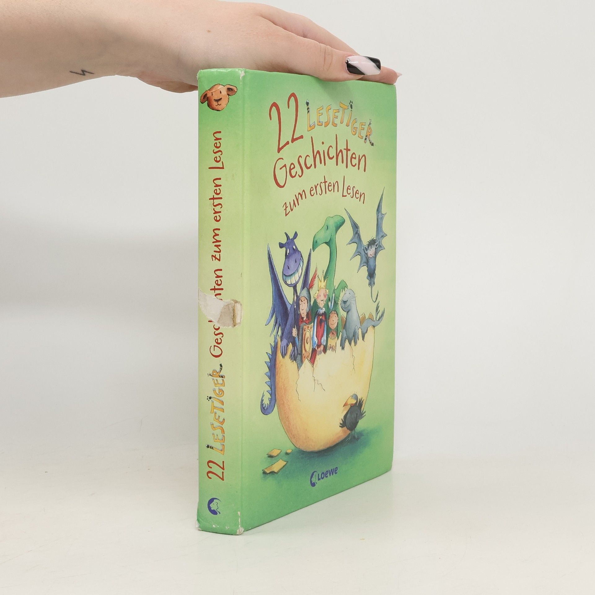 Autorenkollektiv 22 Lesetiger-Geschichten zum ersten Lesen