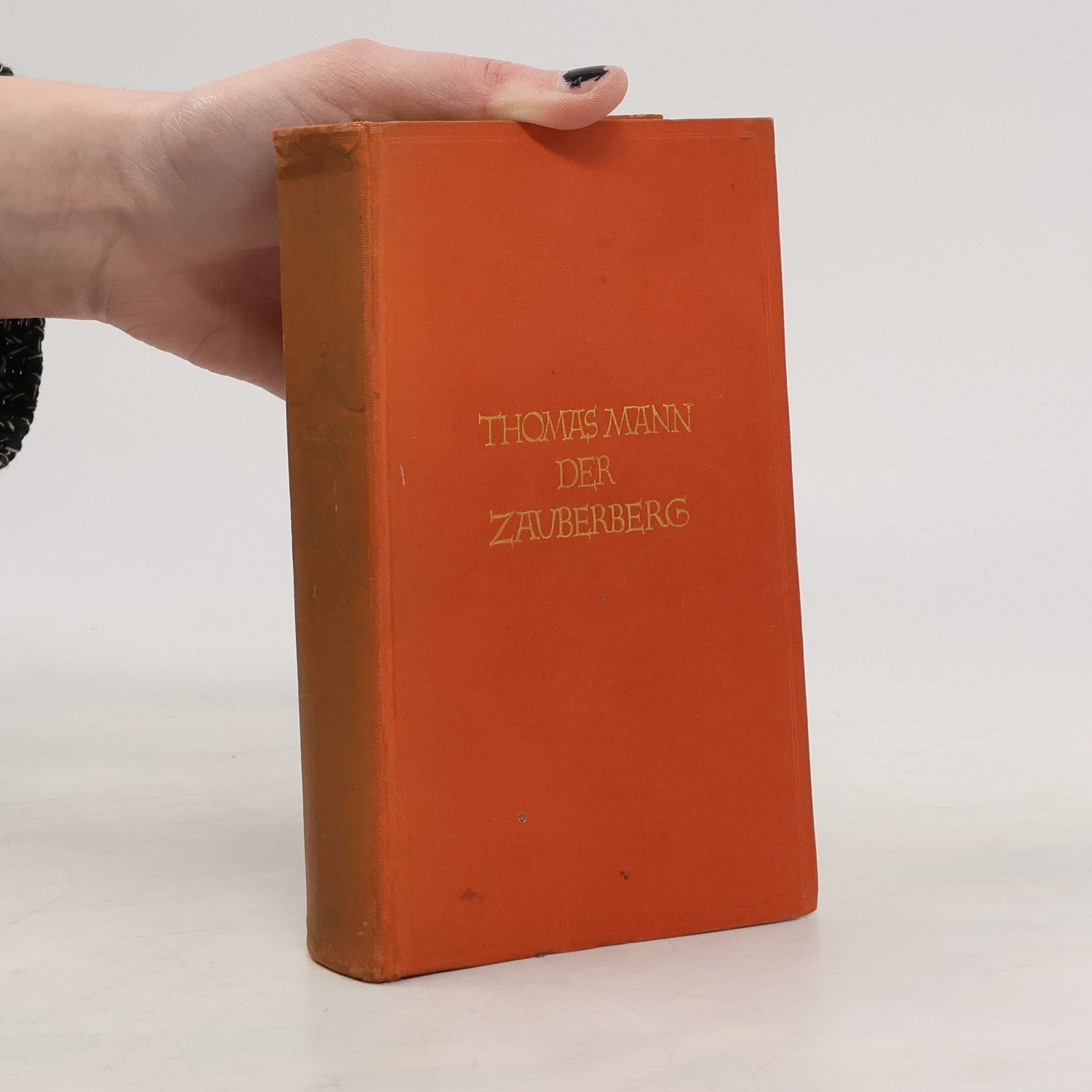 Thomas Mann Der Zauberberg