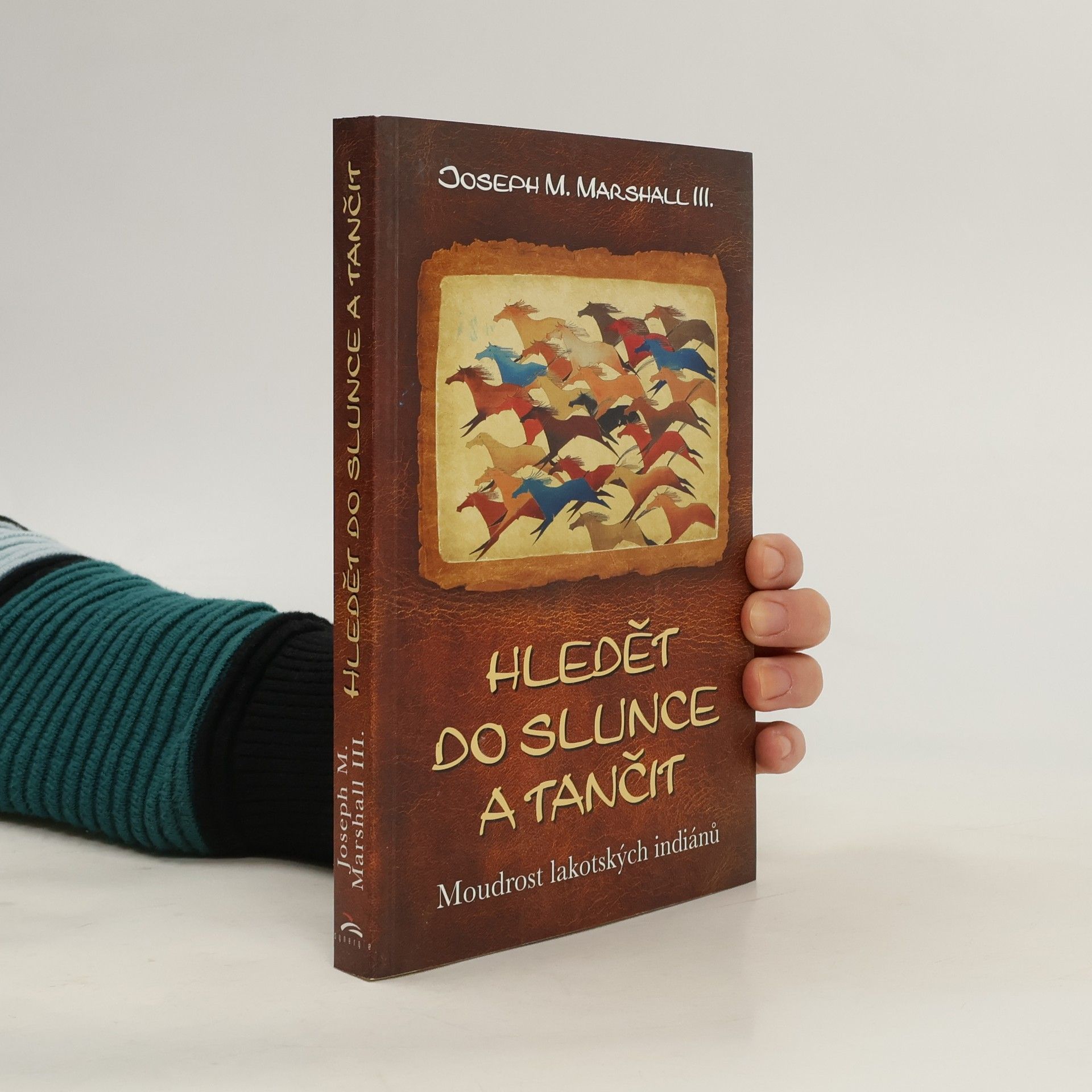 Joe Marshall Hledět do slunce a tančit : moudrost lakotských indiánů
