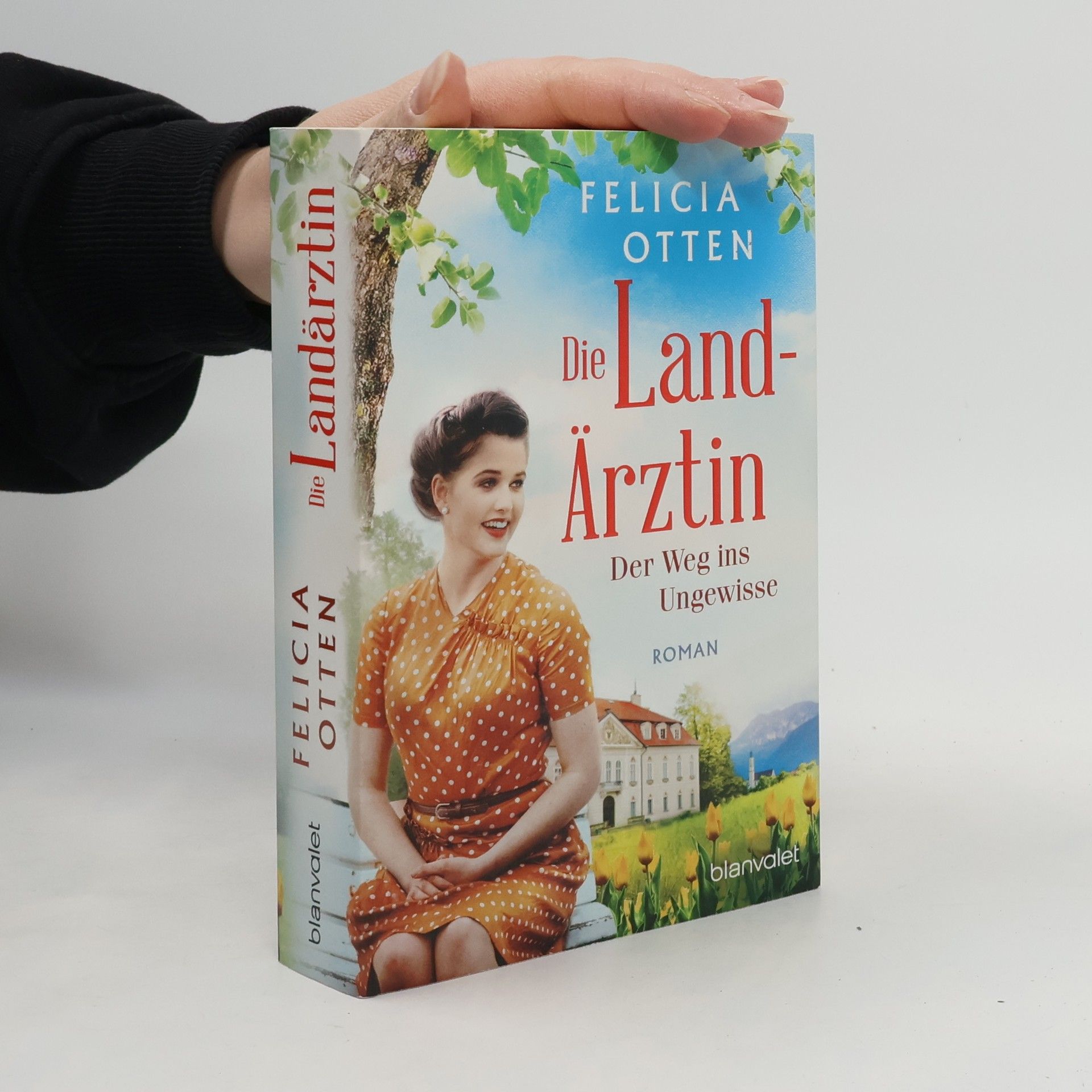 Felicia Otten Die Landärztin - Der Weg ins Ungewisse