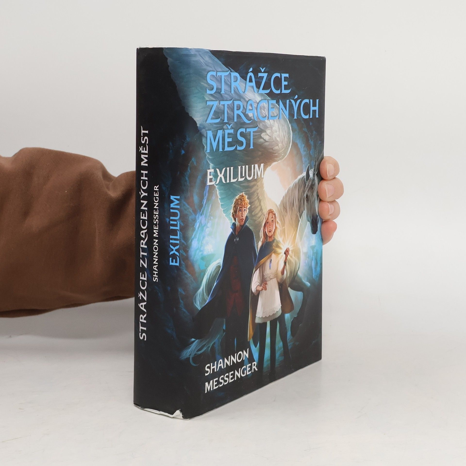 Shannon Messenger Exillium