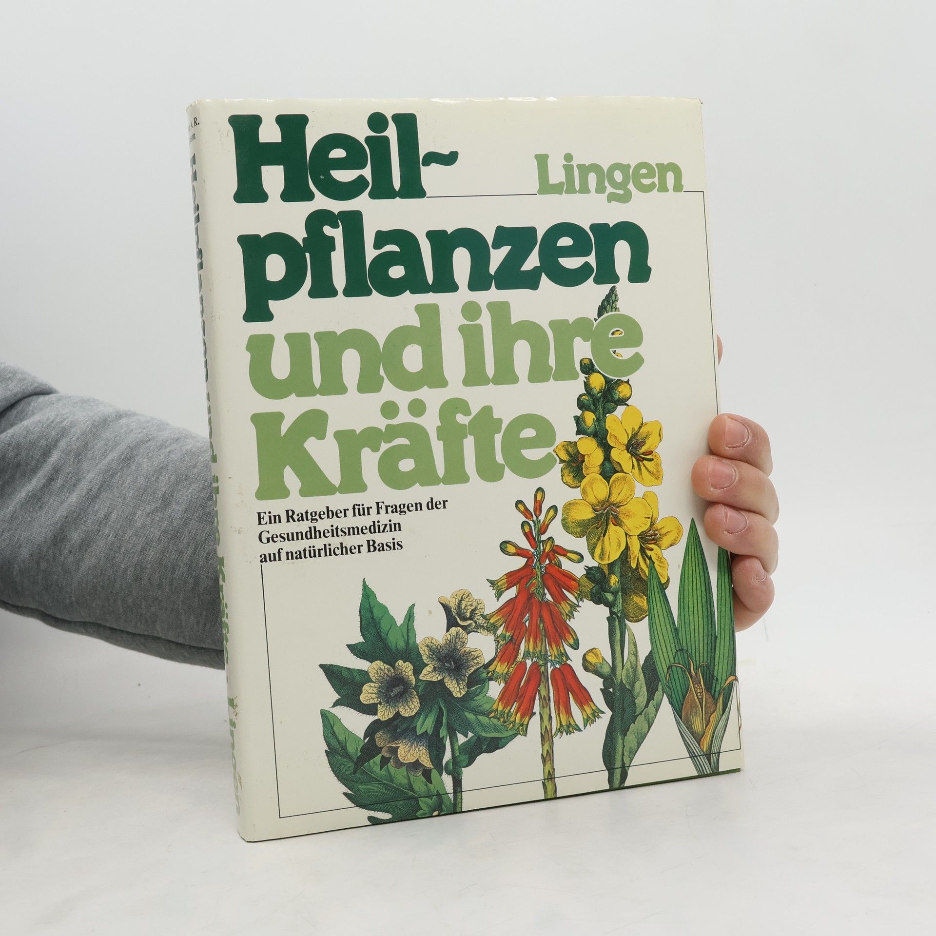 Heilpflanzen und ihre Kräfte