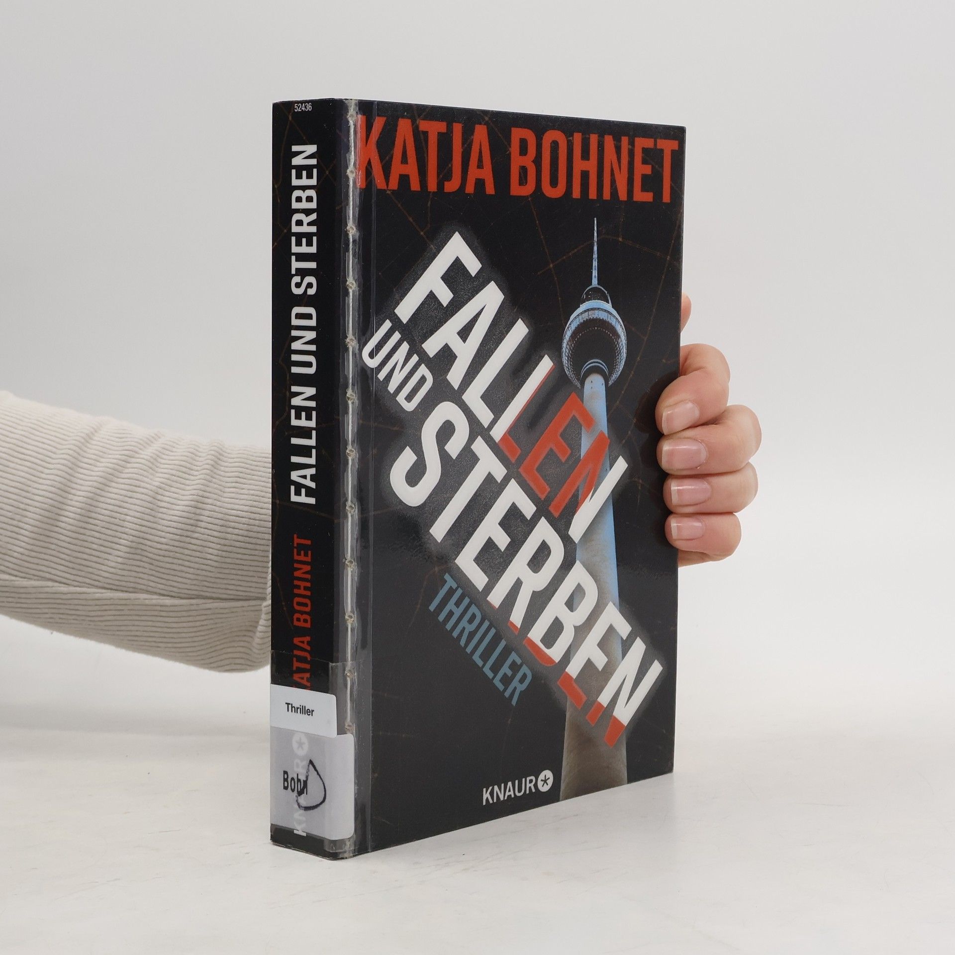 Katja Bohnet Fallen und Sterben