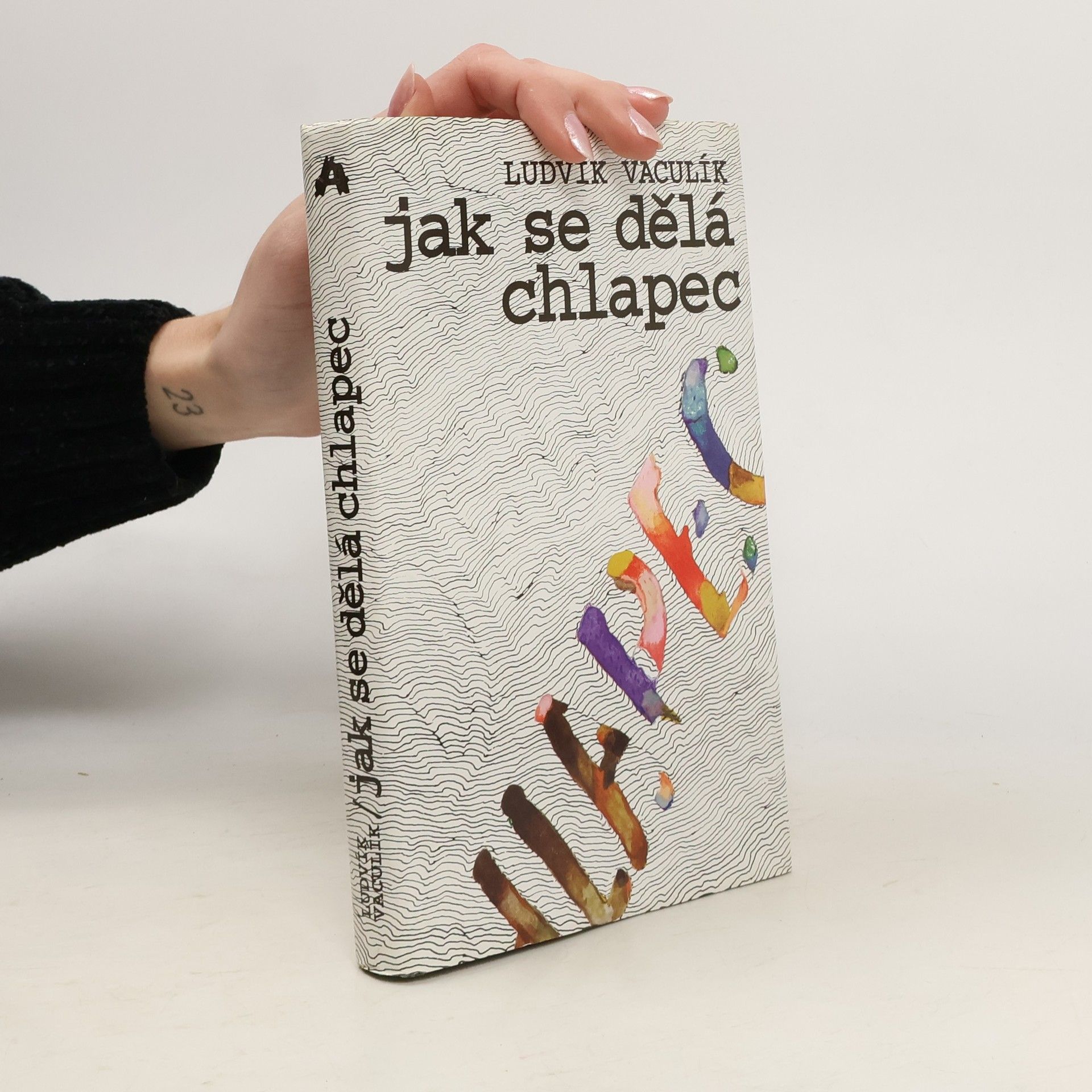 Ludvík Vaculík Jak se dělá chlapec