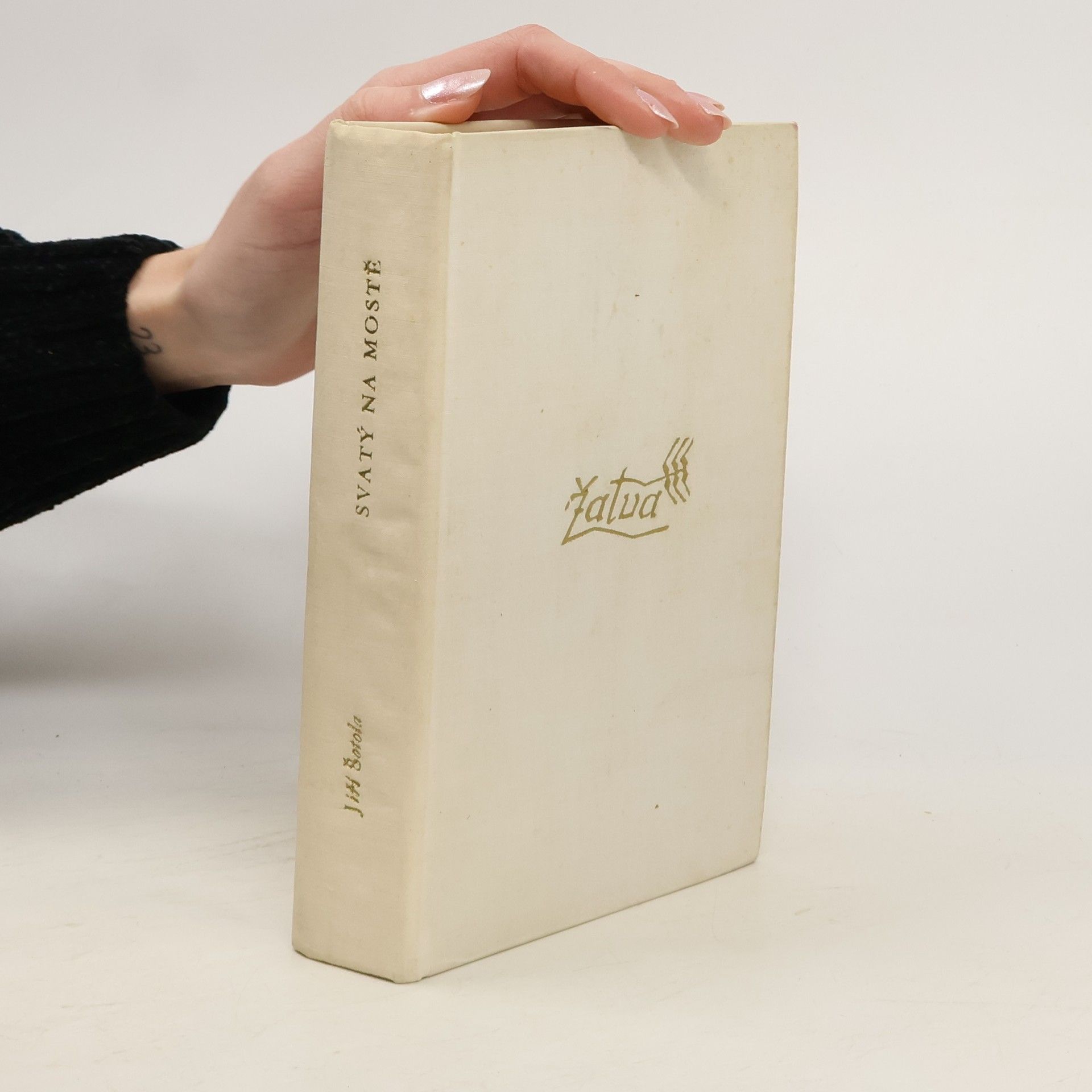 Jiří Šotola Svatý na mostě