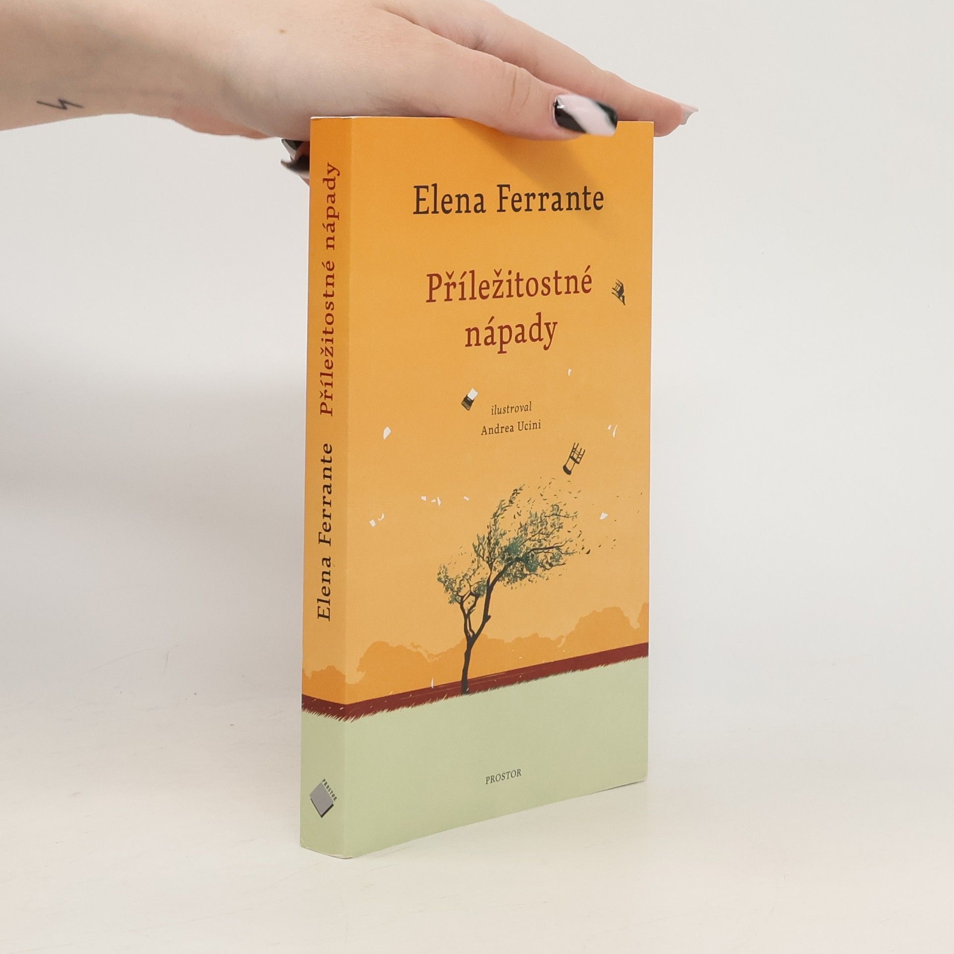 Elena Ferrante Příležitostné nápady