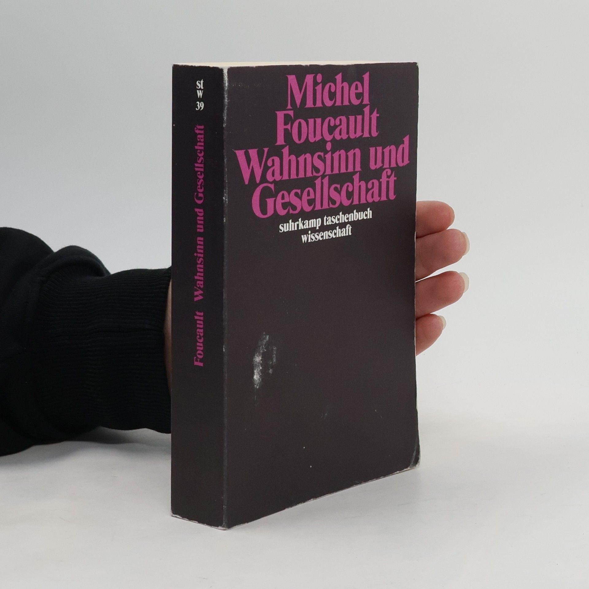 Michel Foucault Wahnsinn und Gesellschaft