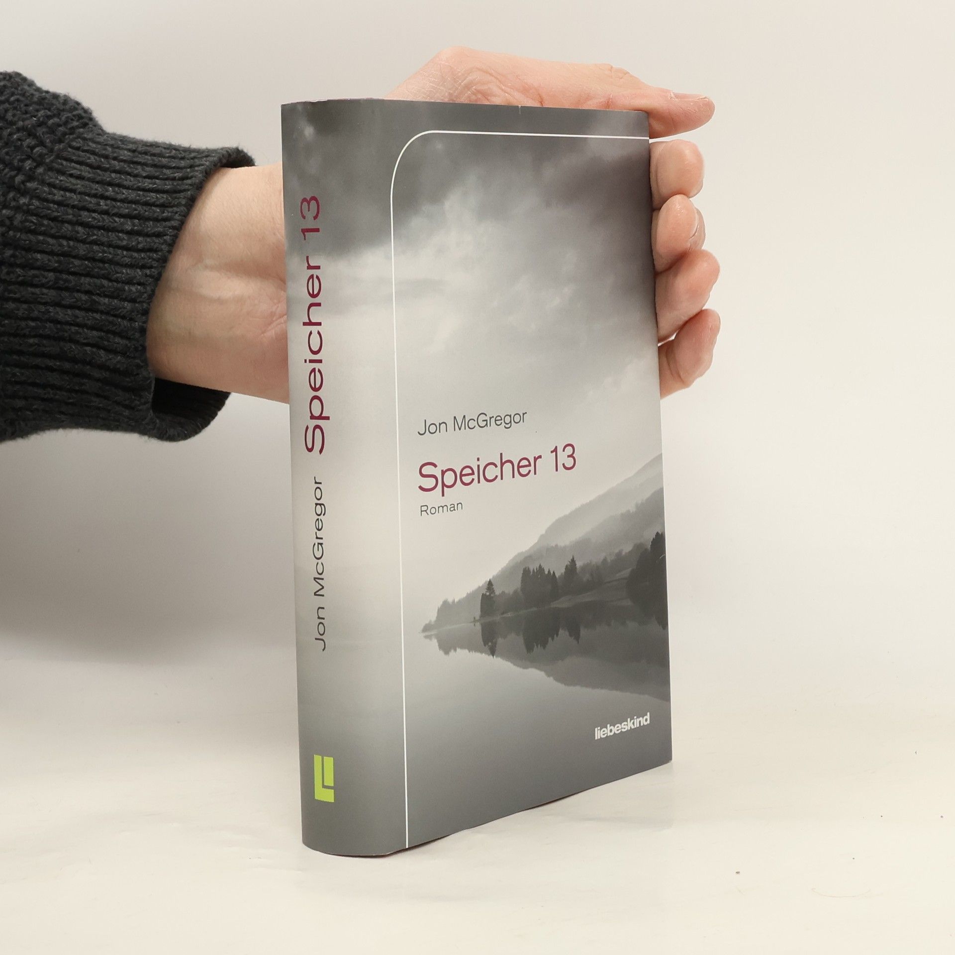 Jon McGregor Speicher 13