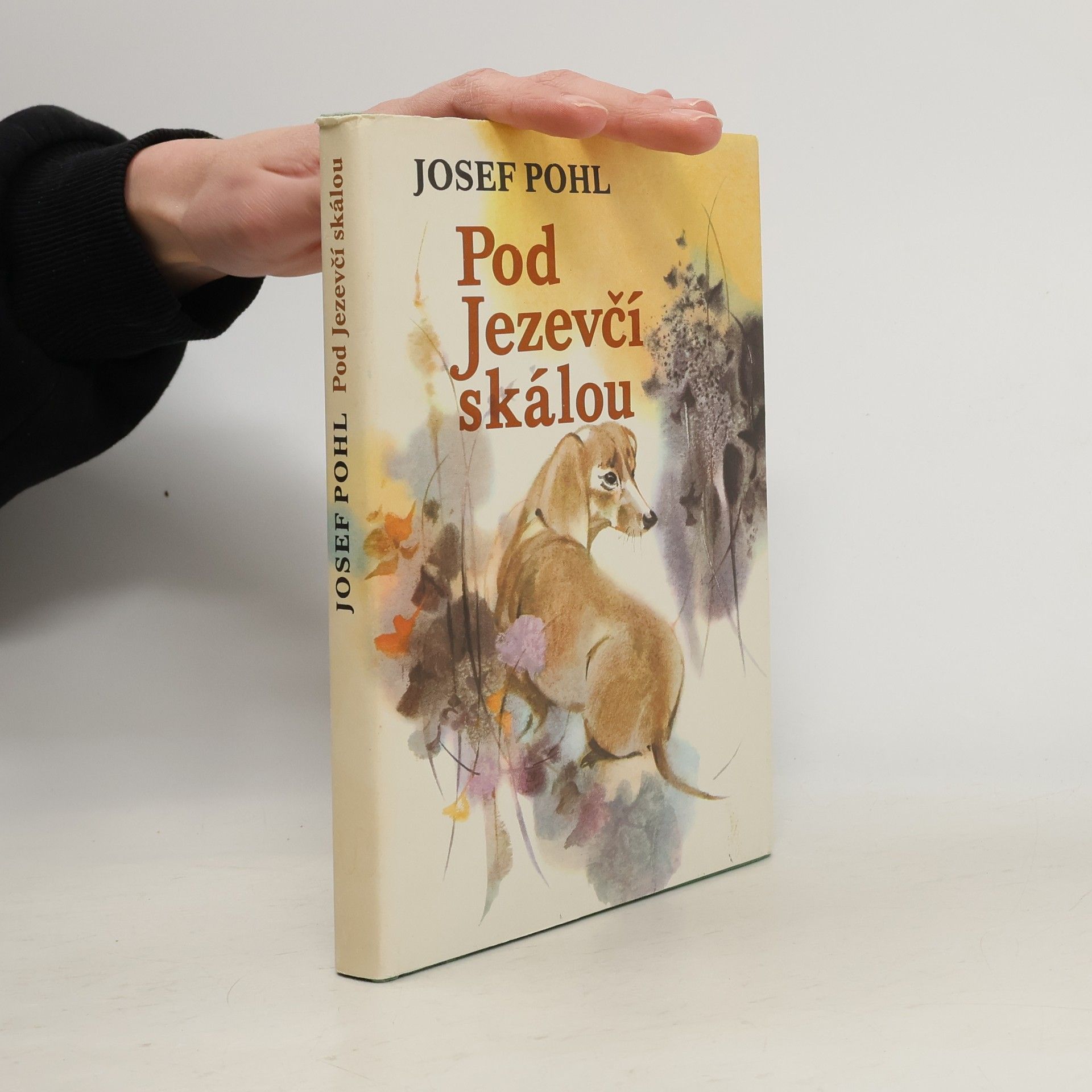 Josef Pohl Pod Jezevčí skálou