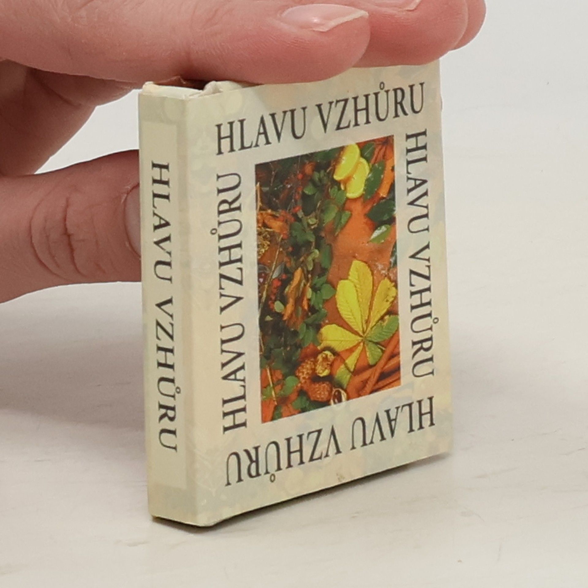 AA.VV. Hlavu vzhůru