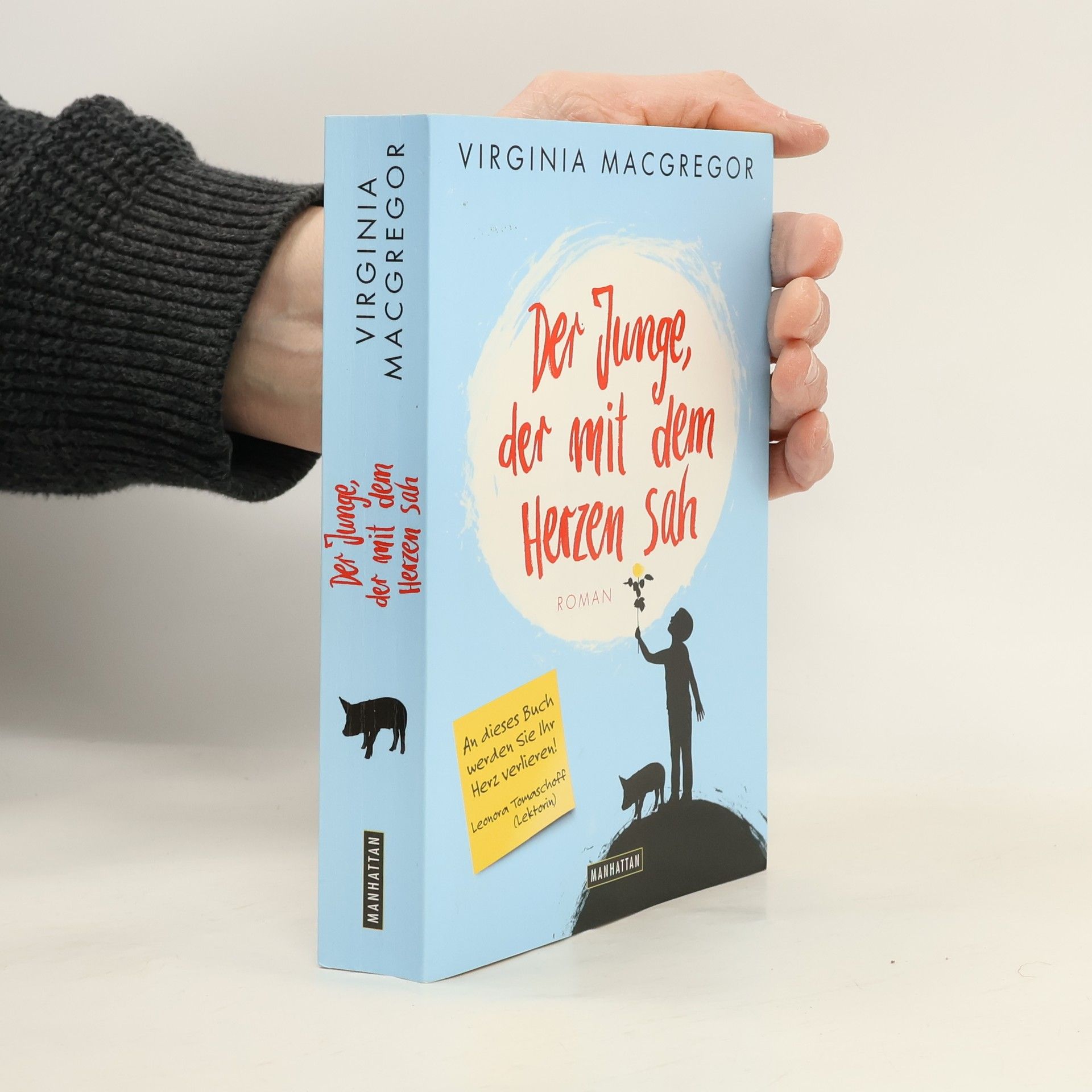 Virginia Macgregor Der Junge, der mit dem Herzen sah