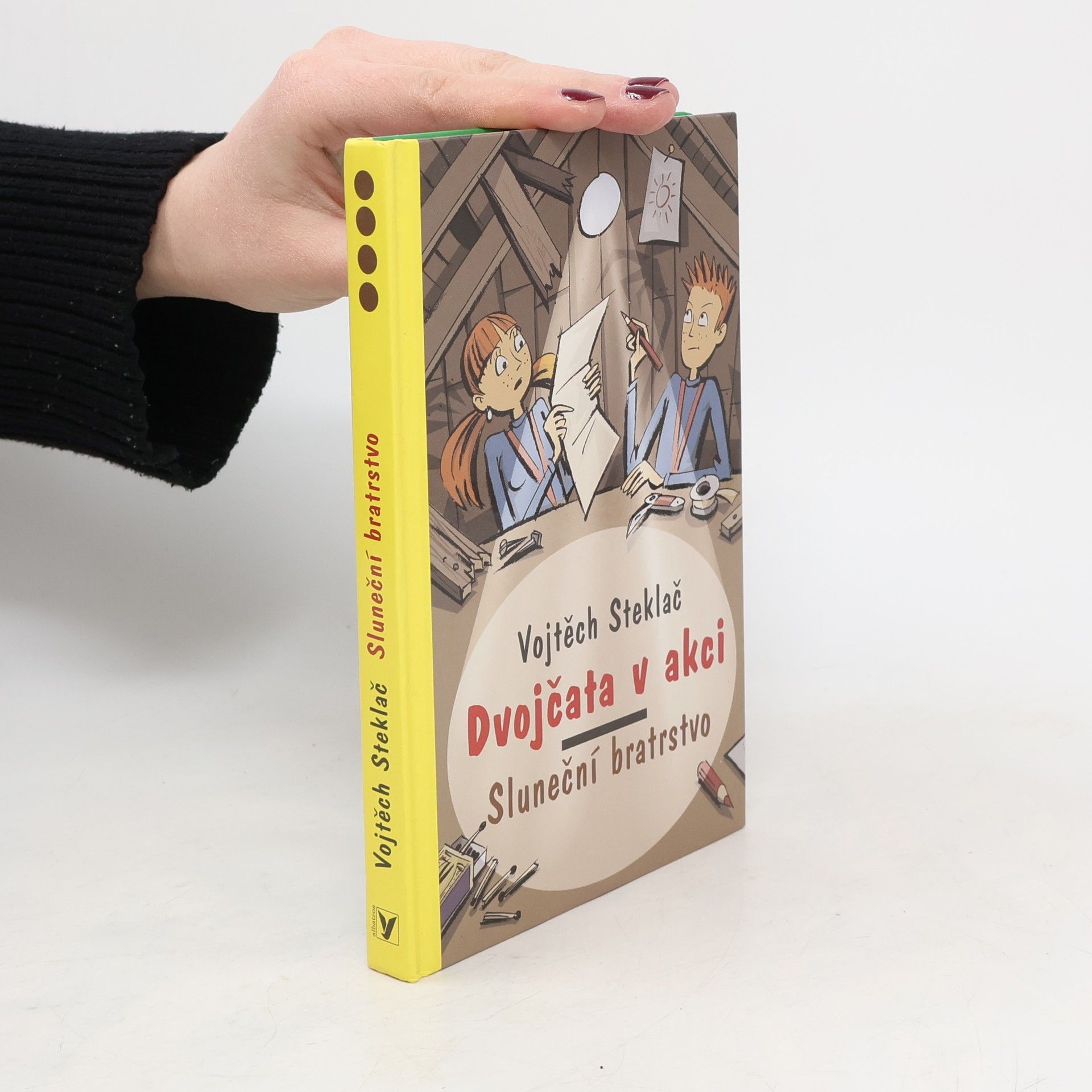Vojtěch Steklač Dvojčata v akci. Sluneční bratrstvo