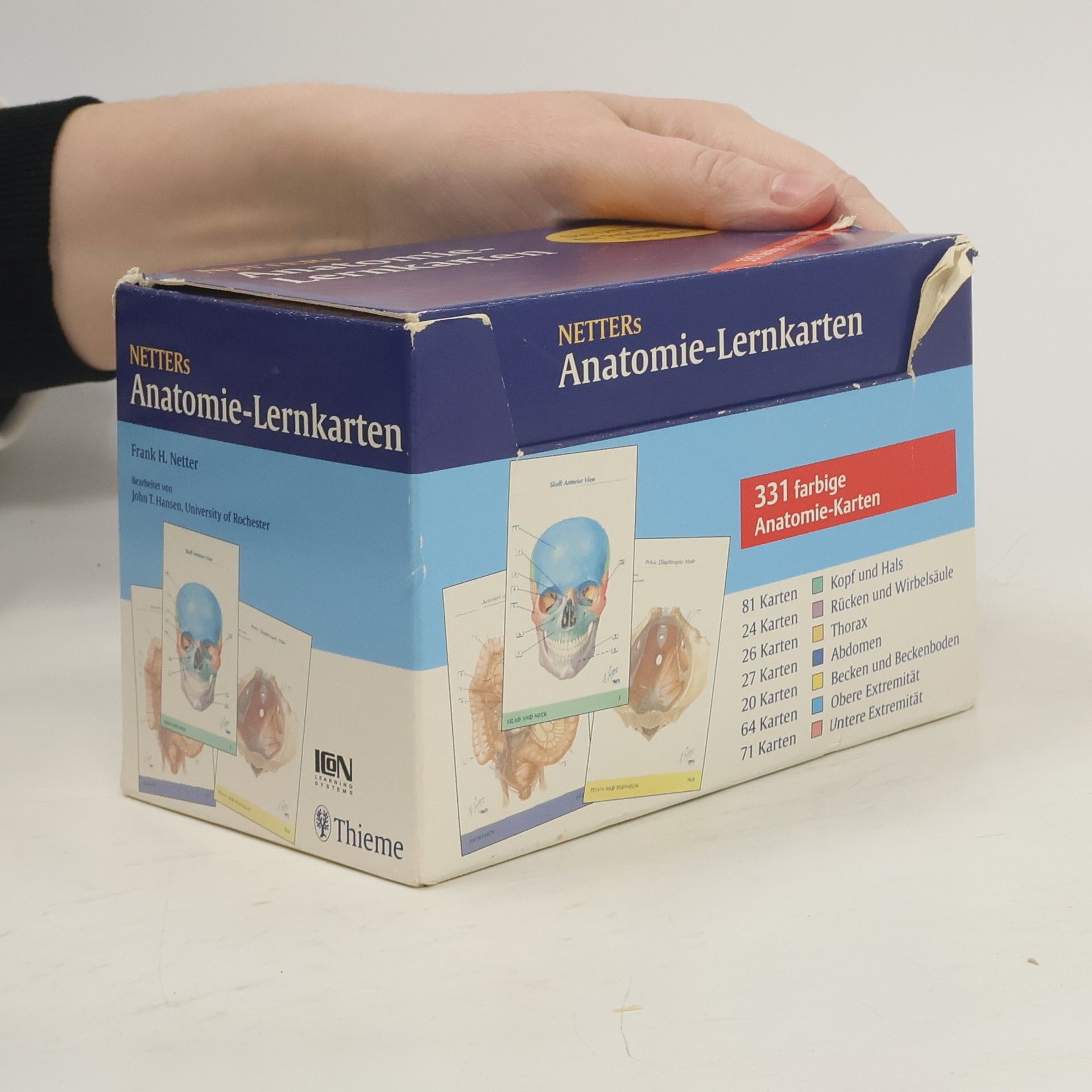 Netter's Anatomie-Lernkarten