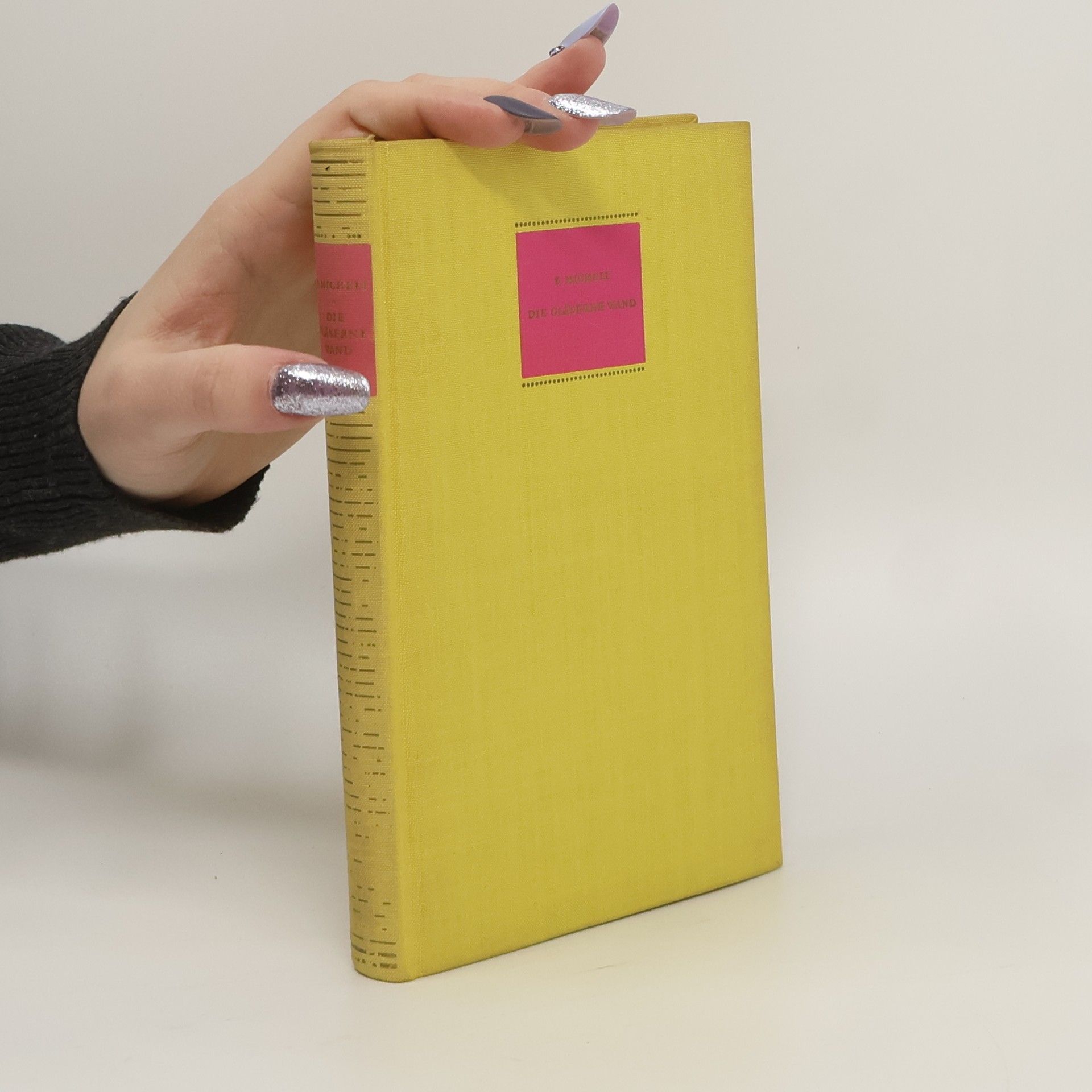 Silvio Micheli Die gläserne Wand