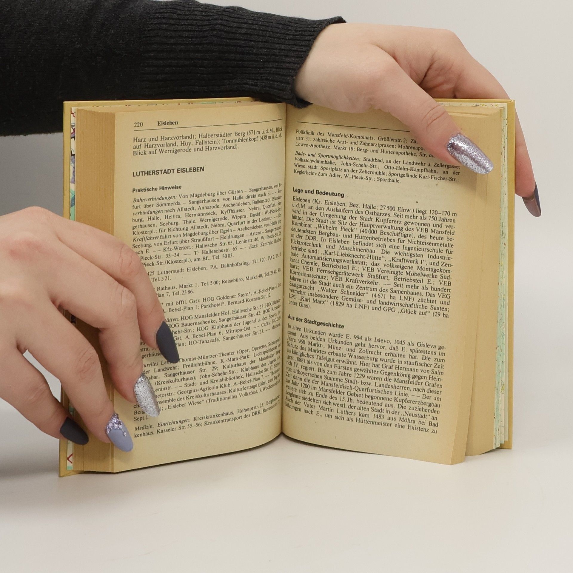 Various authors Reisehandbuch. Harz