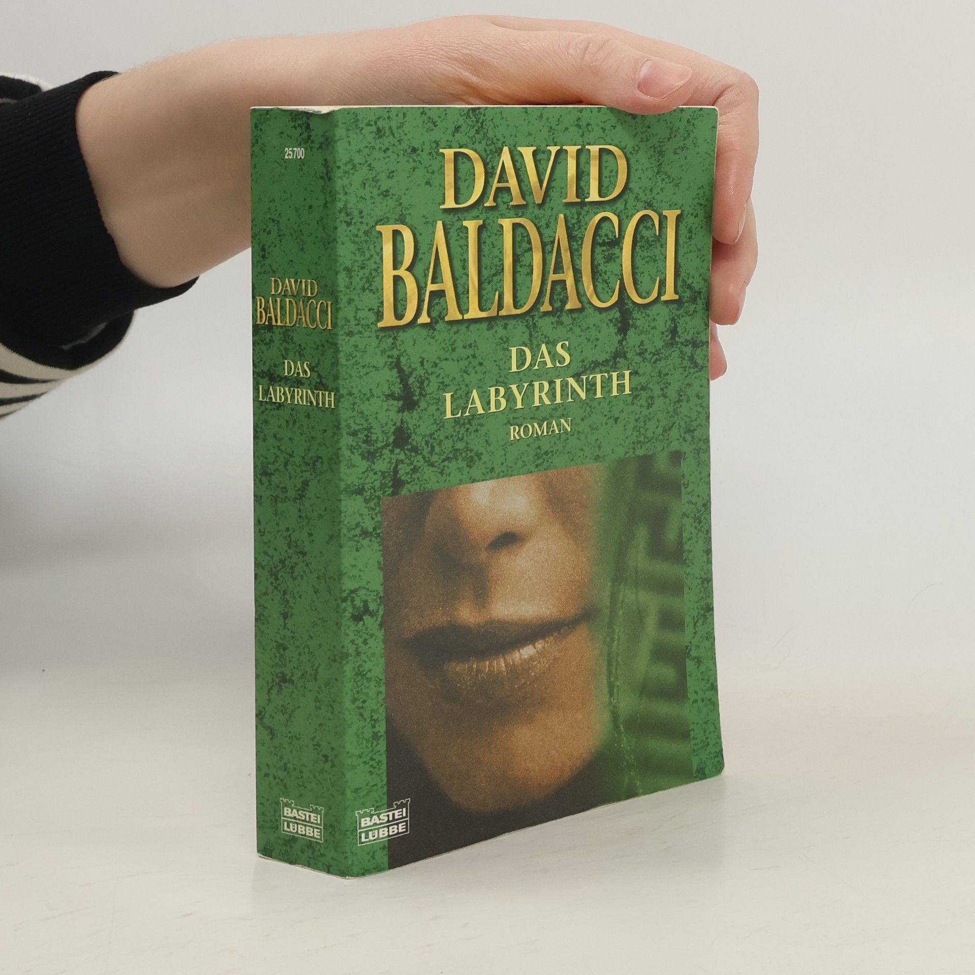 David Baldacci Das Labyrinth