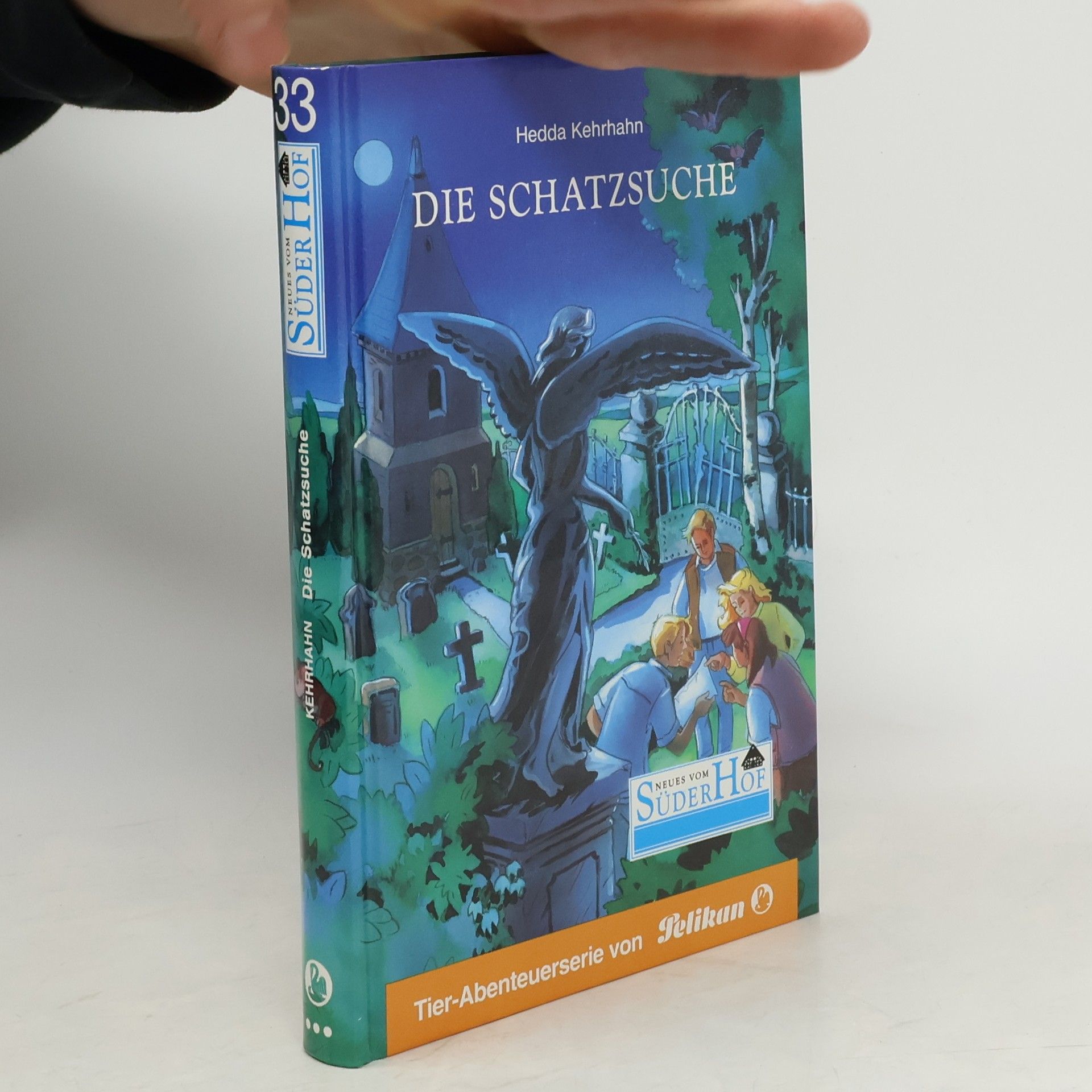 Hedda Kehrhahn Neues vom Süderhof - 33: Die Schatzsuche