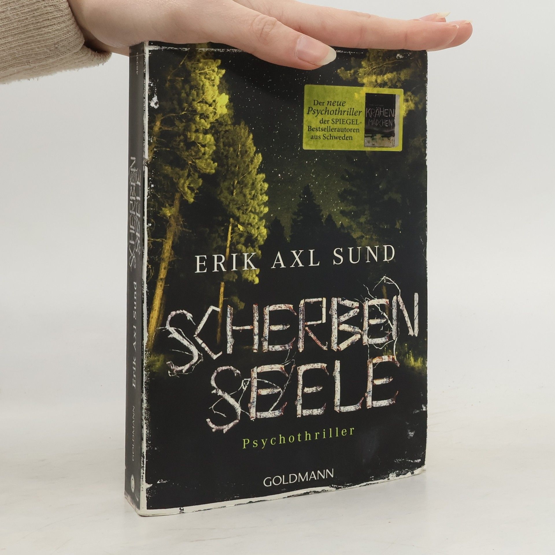 Erik Axl Sund Scherbenseele