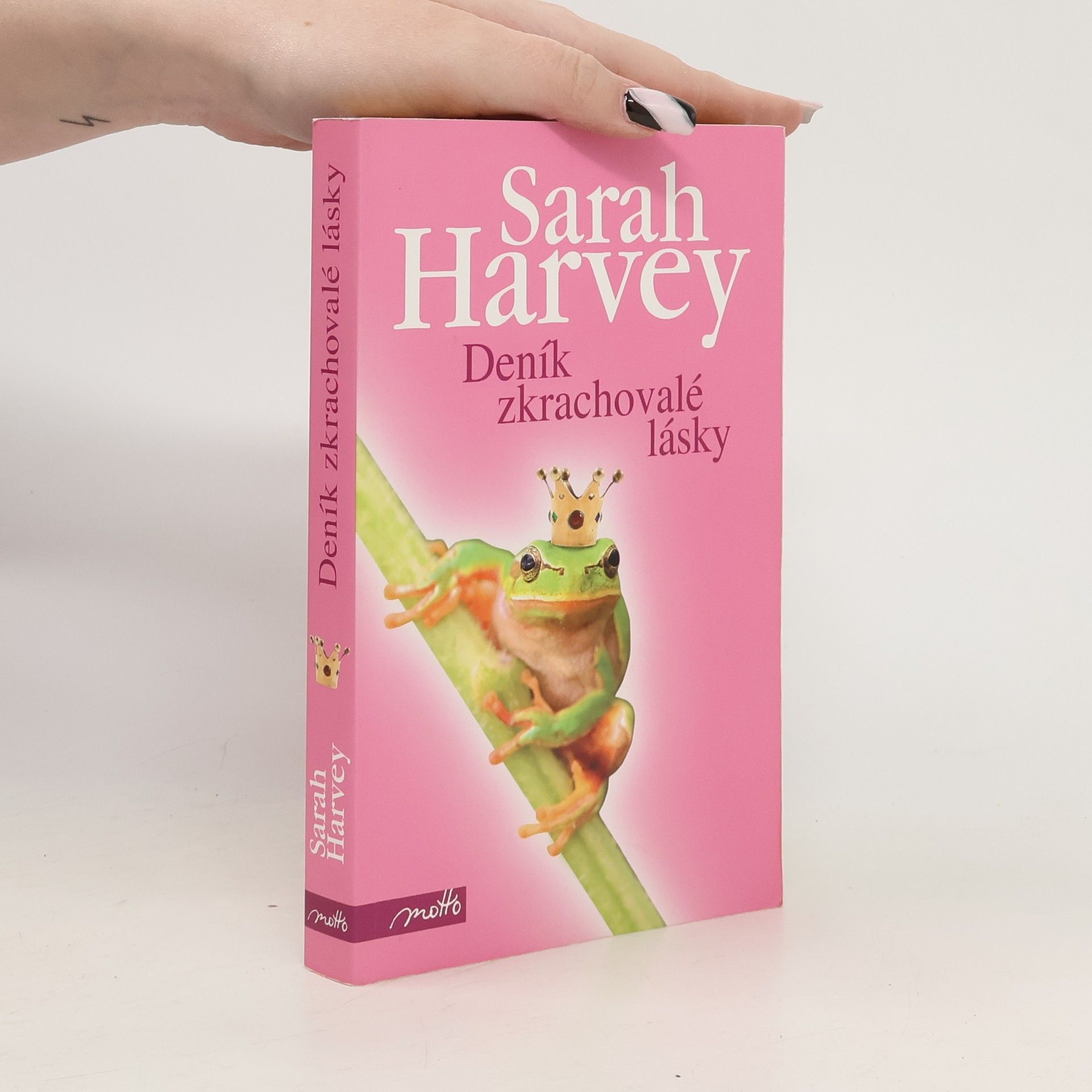 Sarah Harvey Deník zkrachovalé lásky