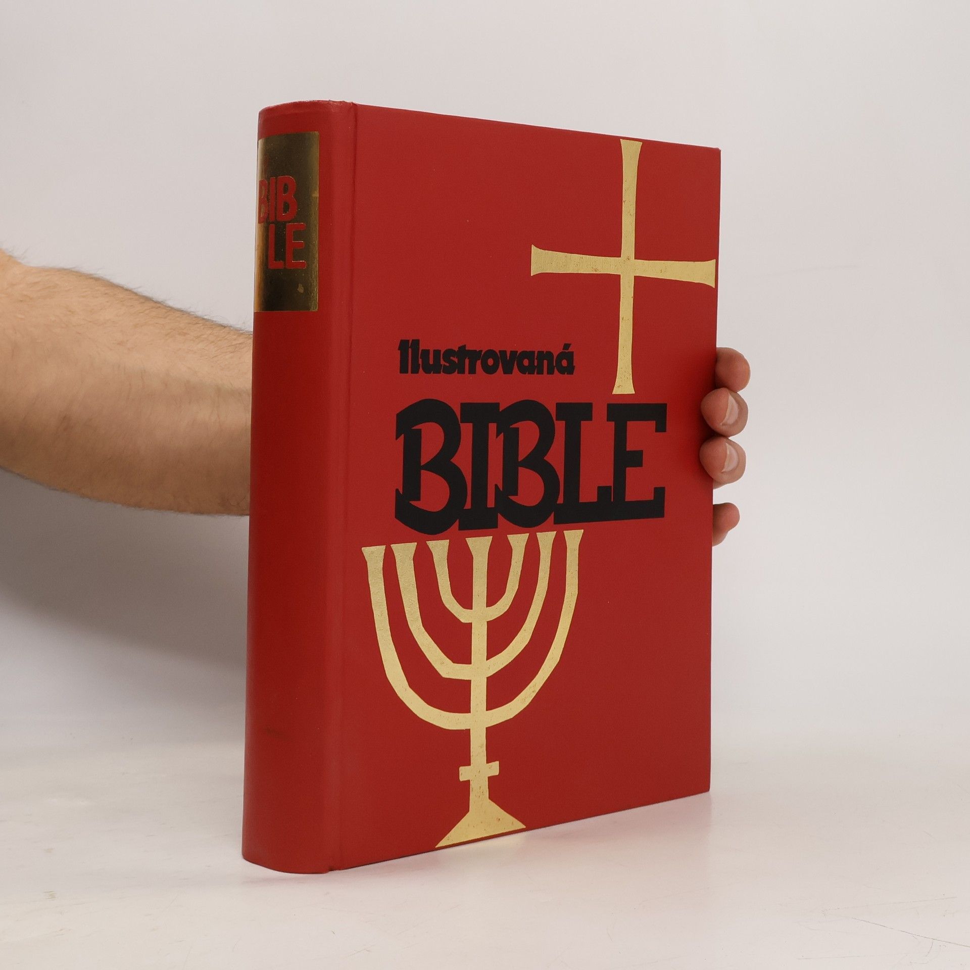Kolektiv autorů Ilustrovaná Bible