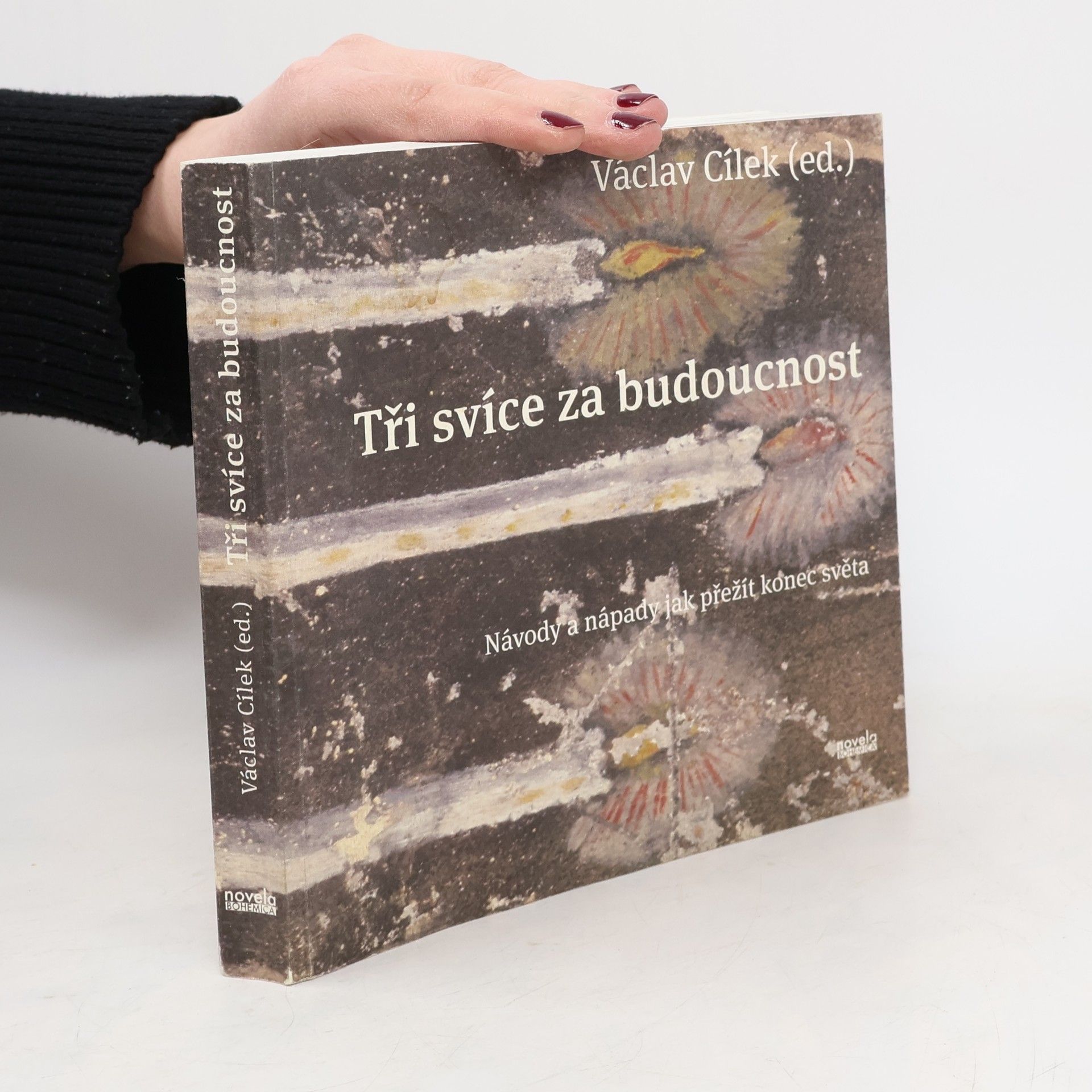 Václav Cílek Tři svíce za budoucnost: Návody a nápady jak přežít konec světa