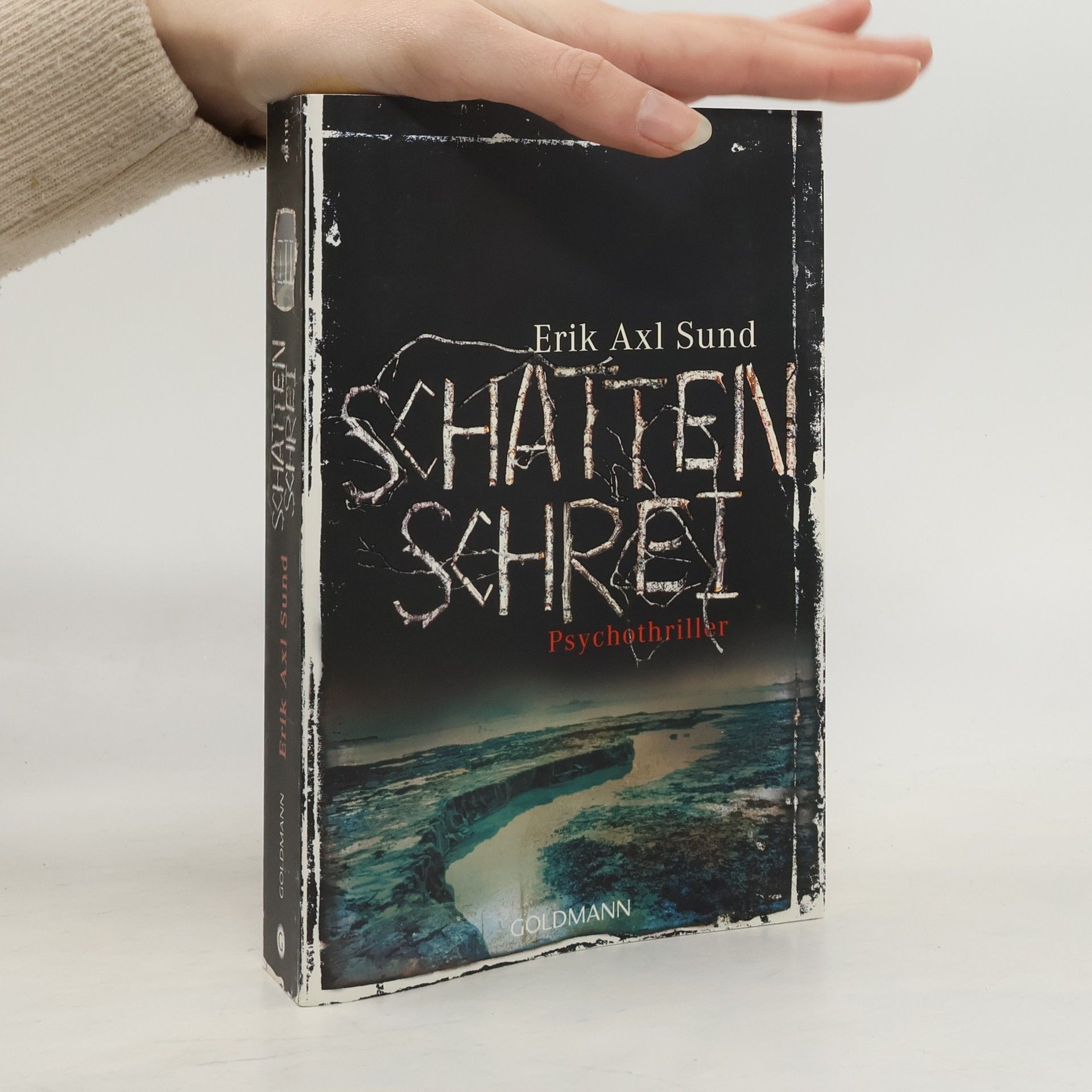 Erik Axl Sund Schattenschrei