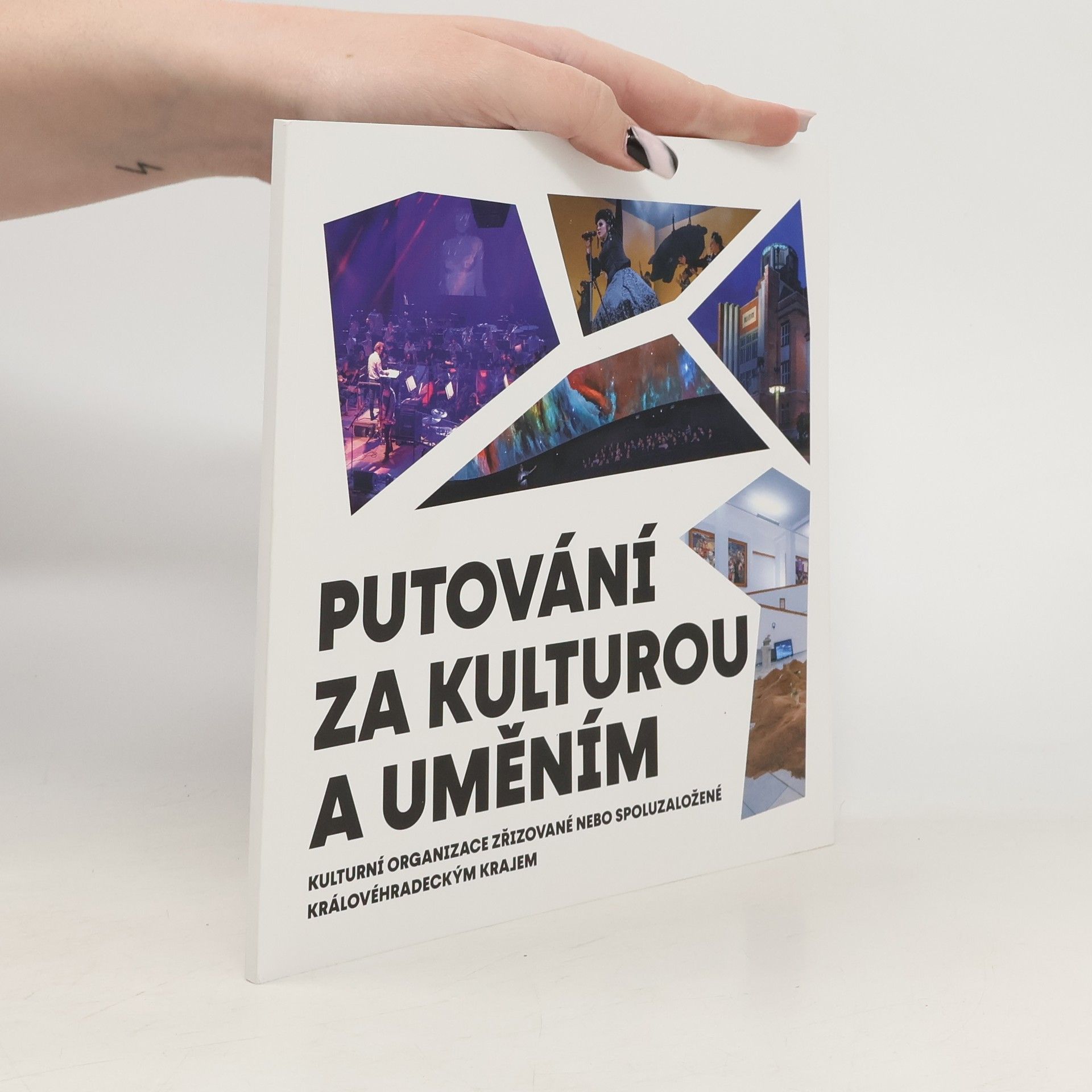 Kolektív autorov Putování za kulturou a uměním