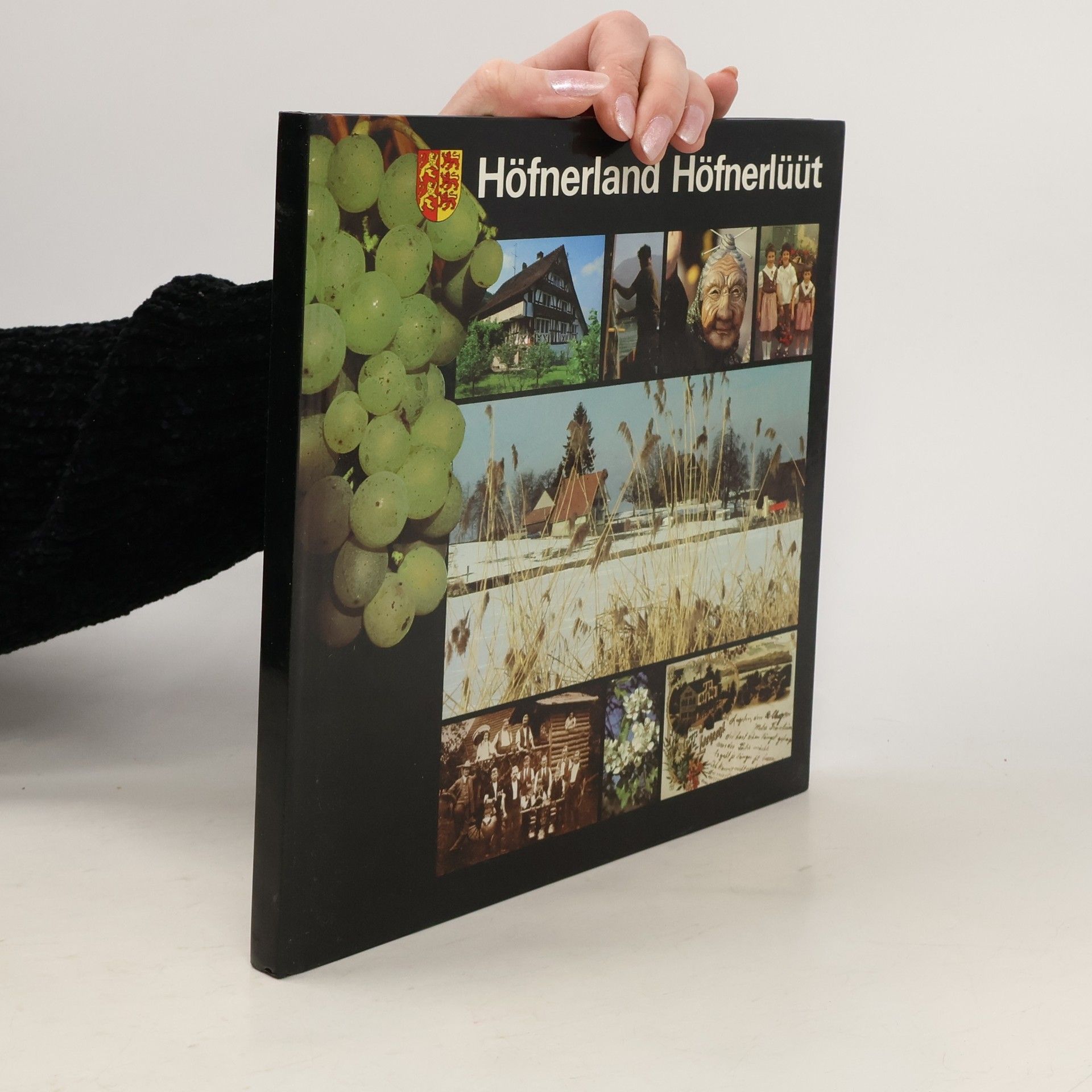 Paul Wyrsch Höfnerland, Höfnerlüüt