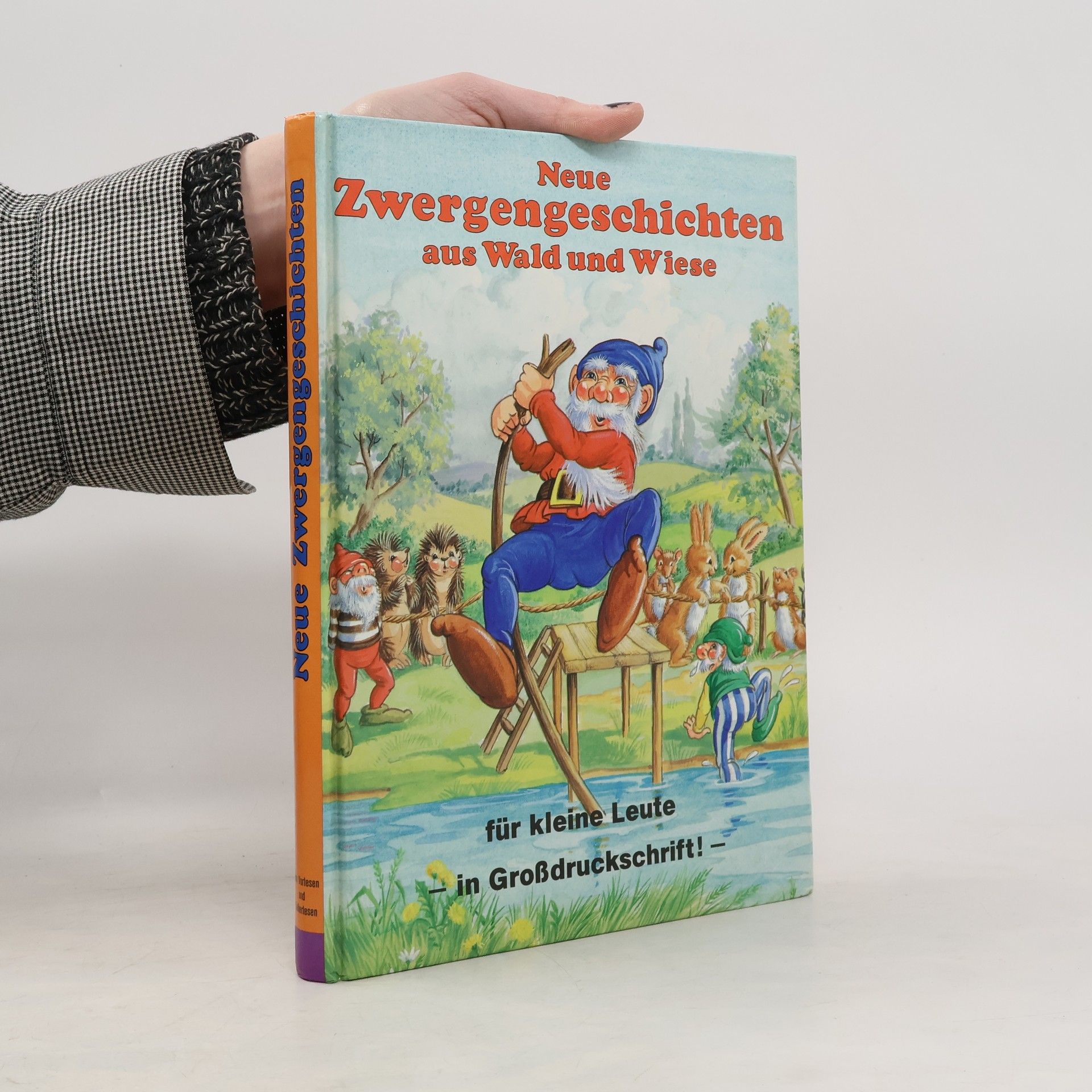 Kolektiv autorů Neue Zwergengeschichten aus Wald und Wisse